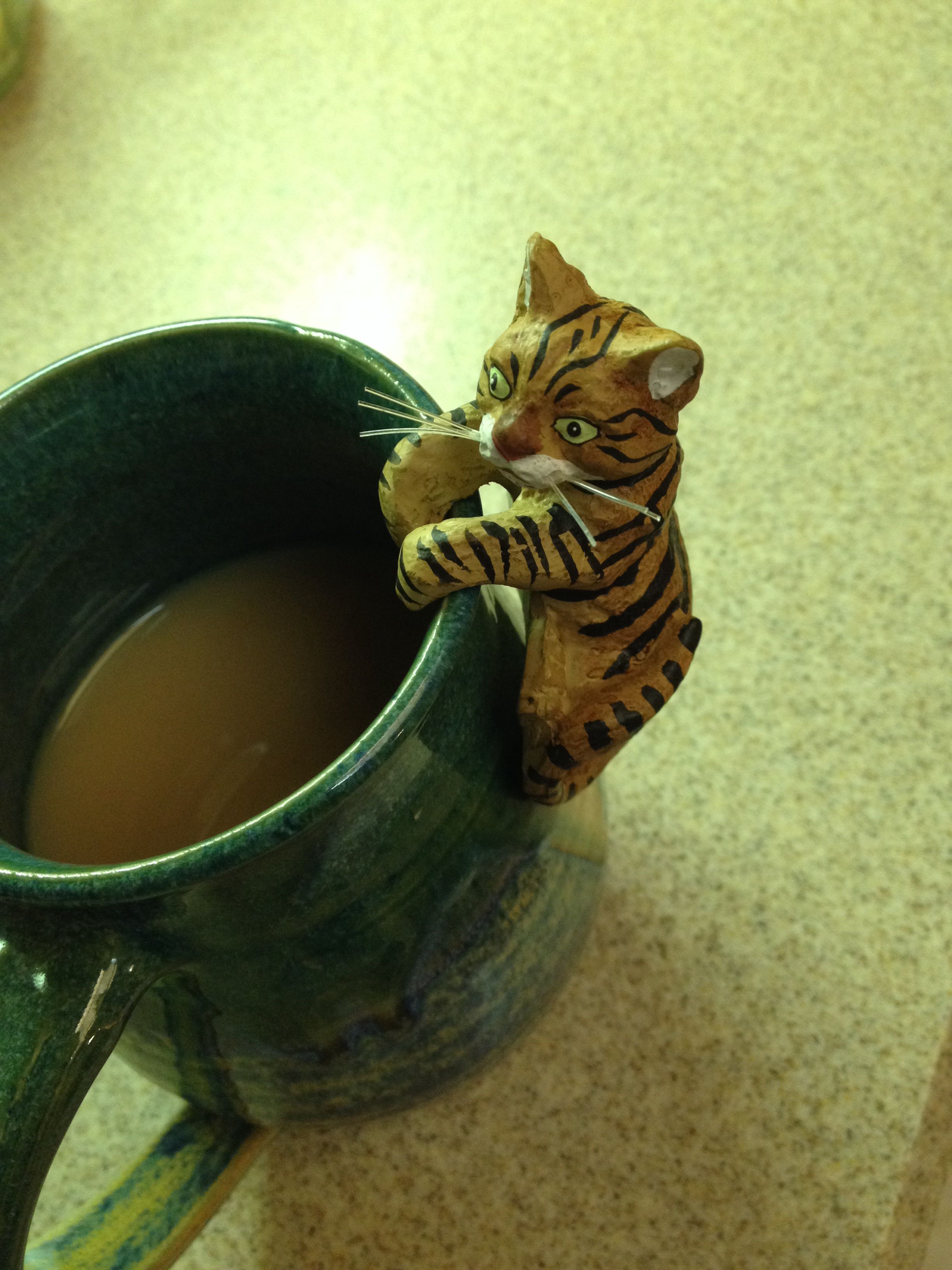 A brown tabby cat pot hugger. It's on my mug, but I will move it to ...