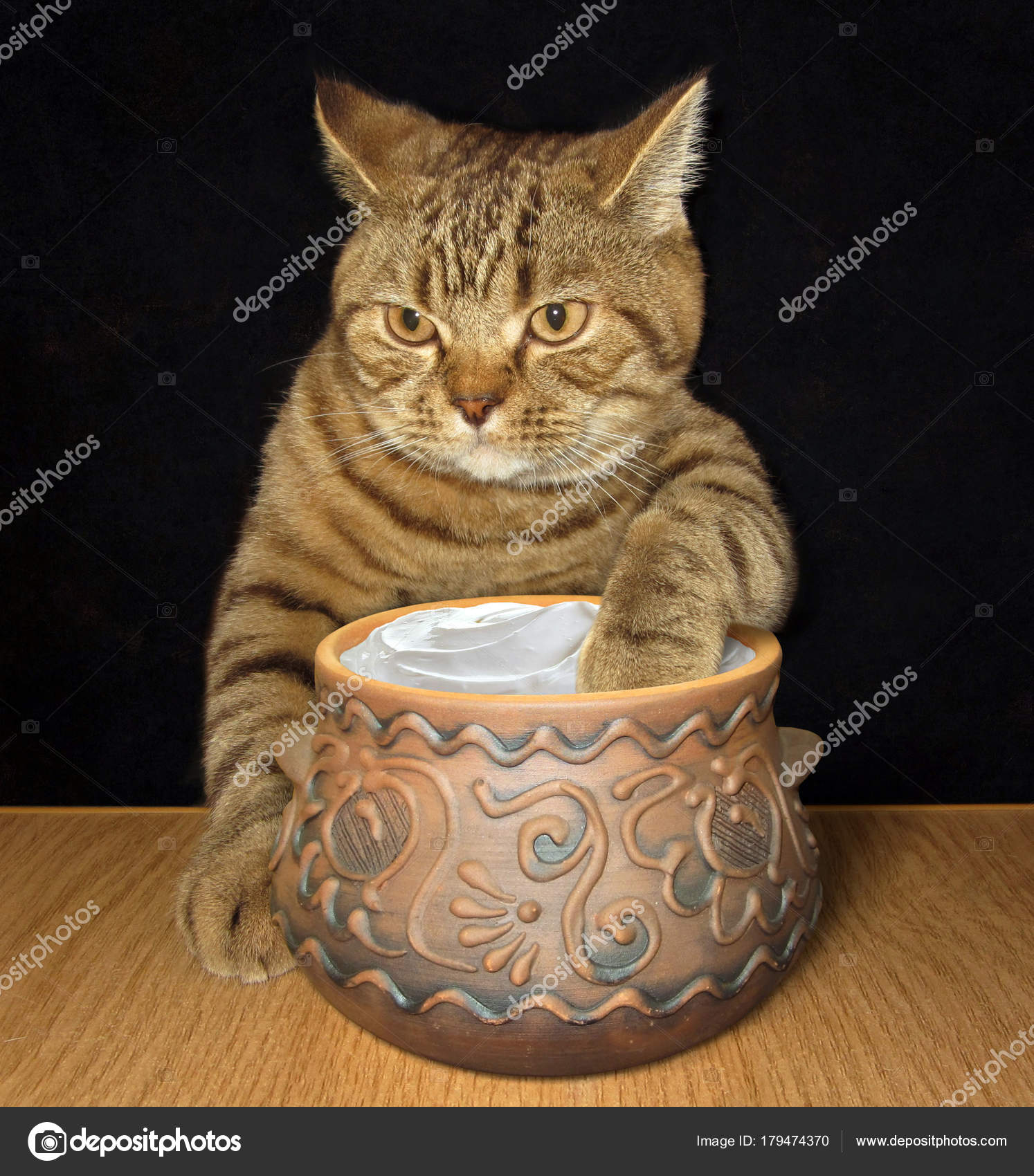 Cat with a pot of sour cream — Stock Photo © Iridi #179474370