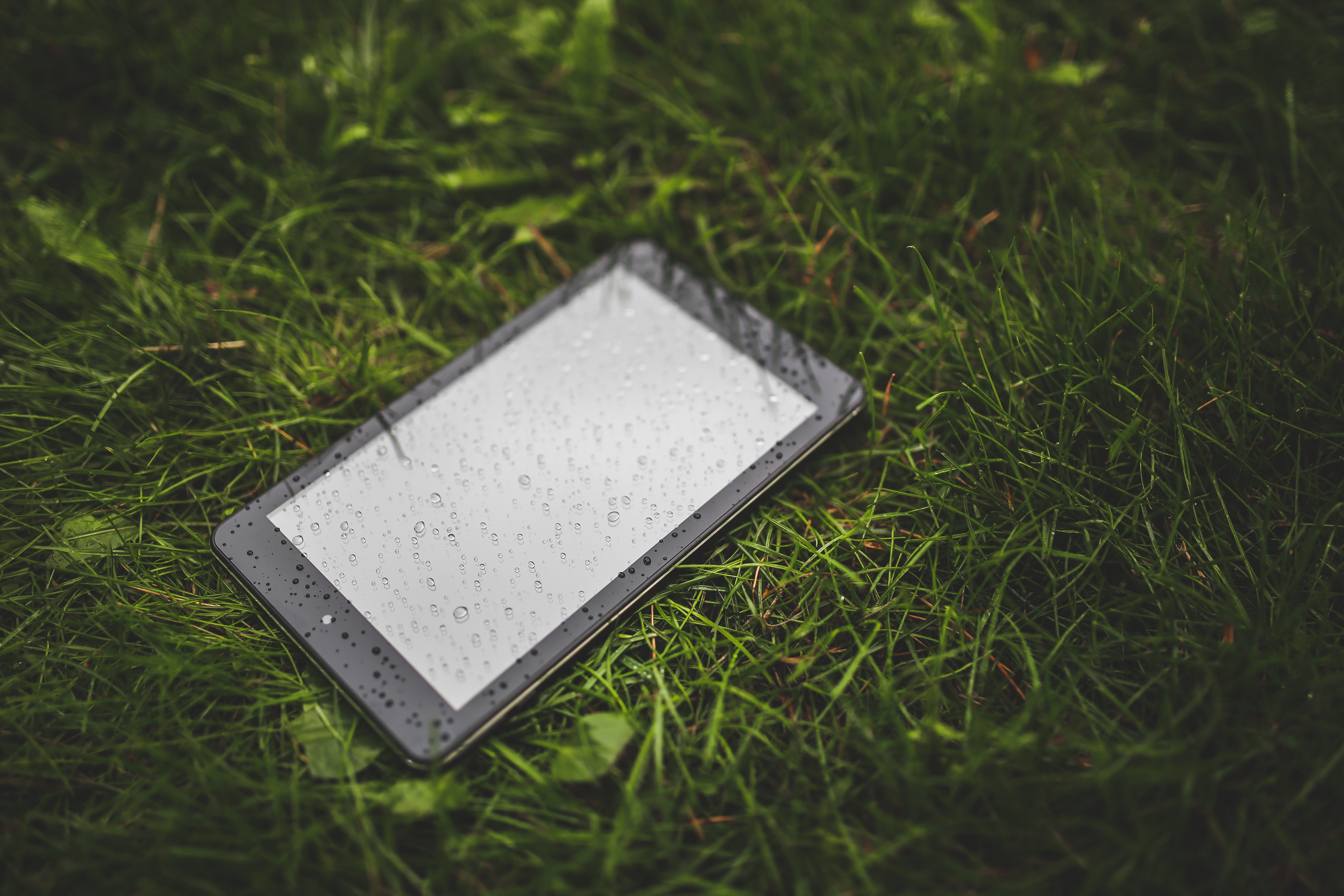 Tablet on the grass photo