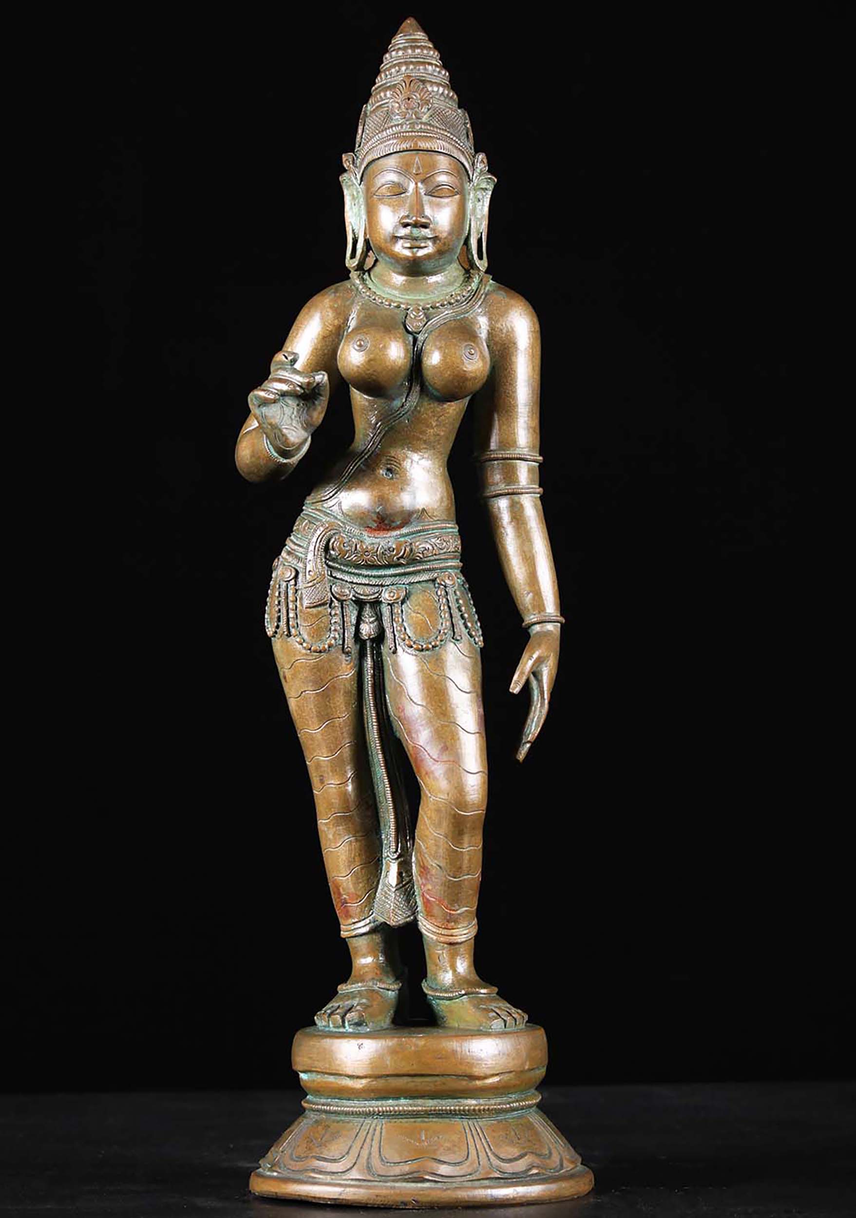 Bronze Parvati As Shivakami Statue 18