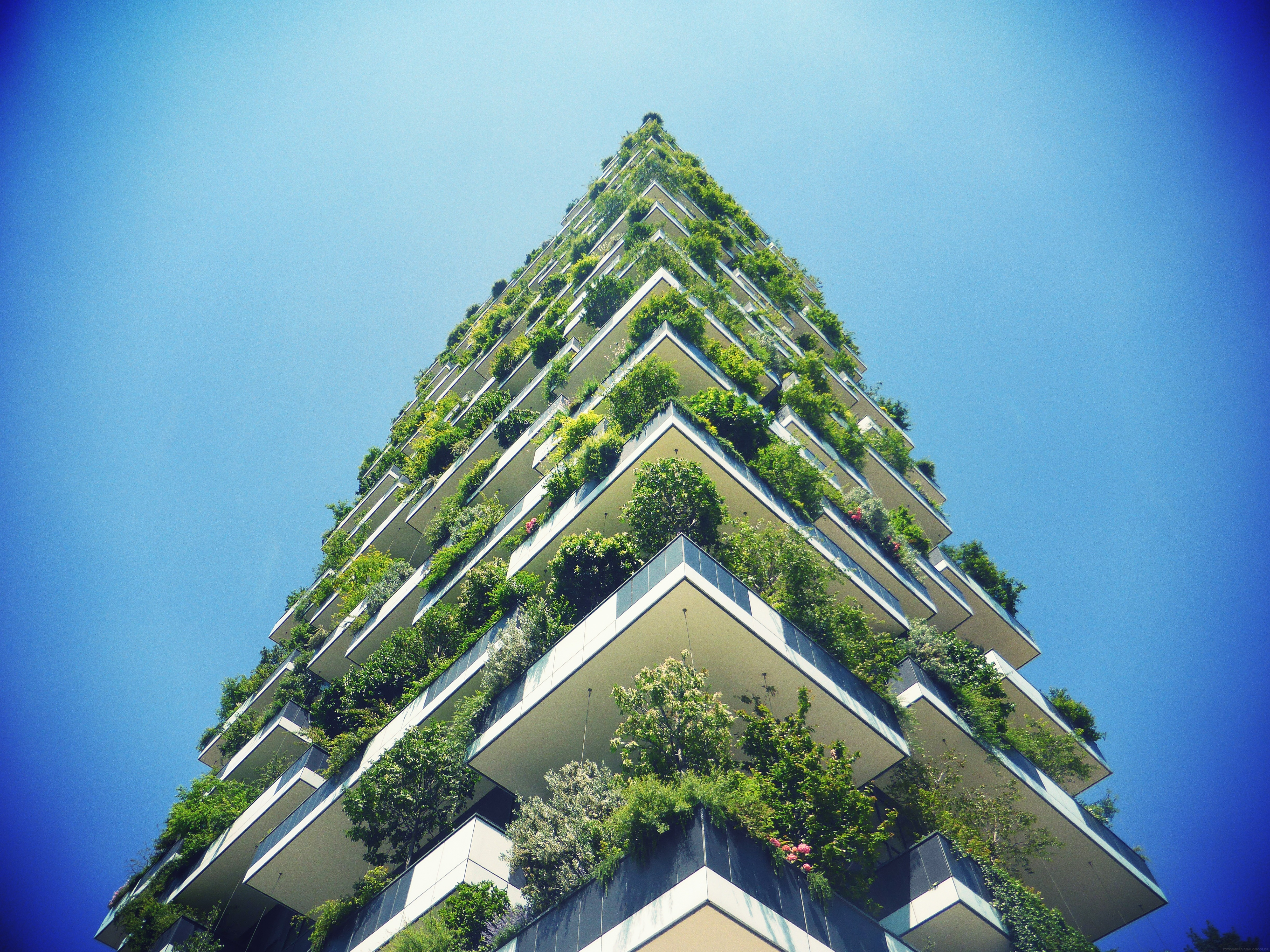 Tree-covered skyscraper is world's best tall building - Business Insider