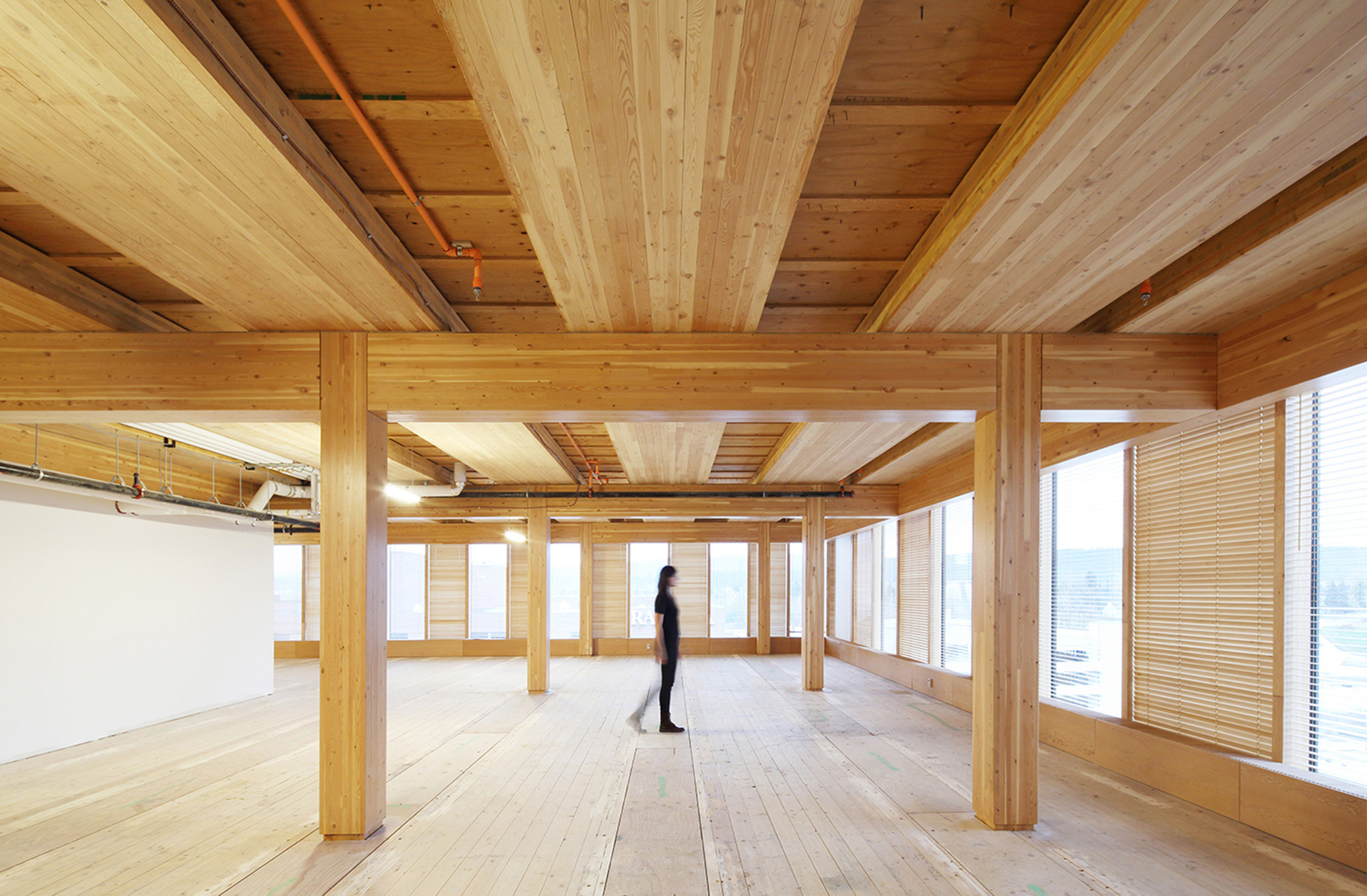 Tall Wood Building and Self-Supported Steel Structure Win RAIC's ...