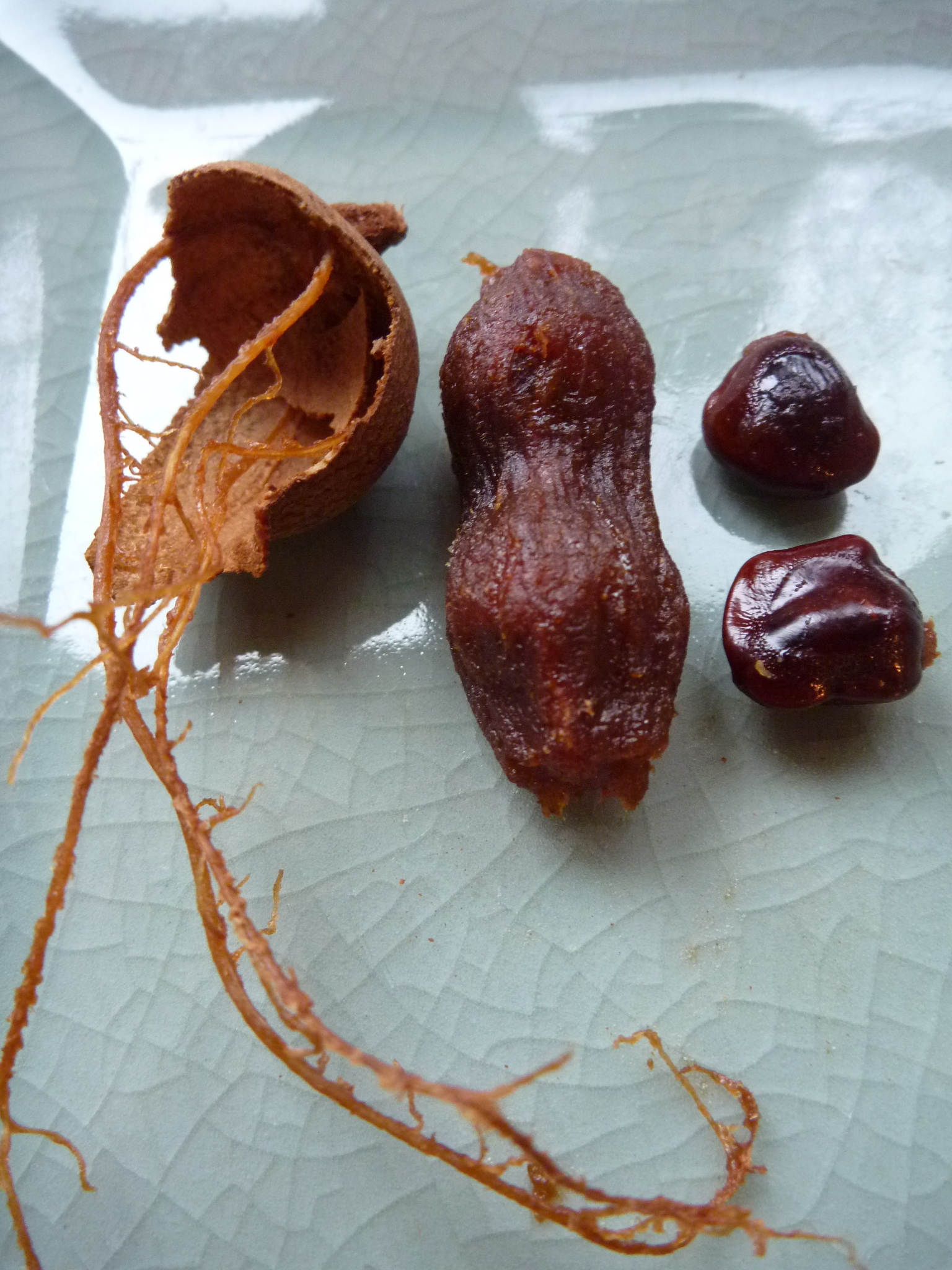 How to eat Tamarind Fruit - healthy candy - Nina Manolson