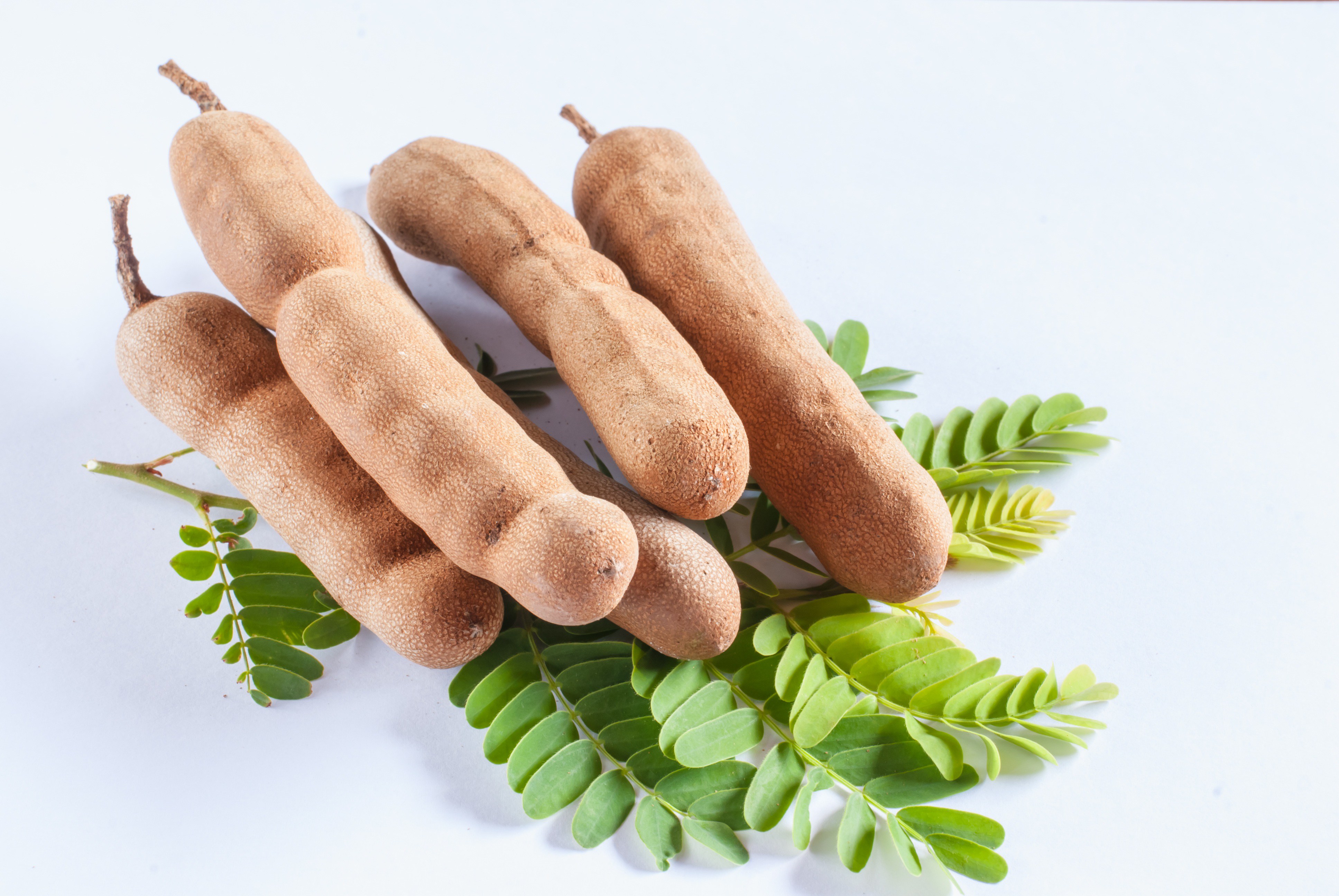 Tamarind Is a Fruit Widely Known in Cuisines Around the World ...