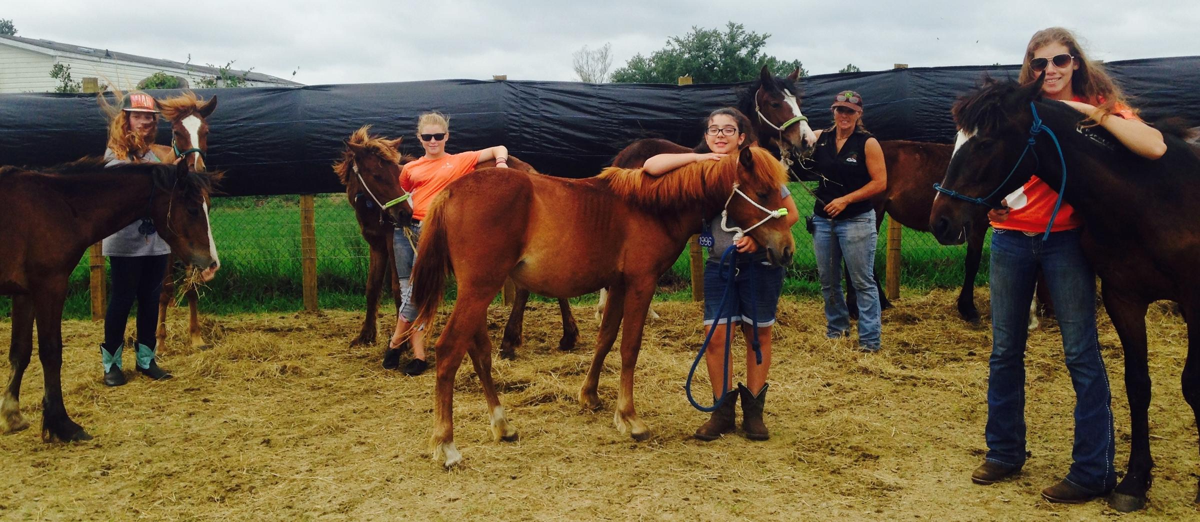 LaBelle Kids Tame Wild Horses For Adoption | WGCU News