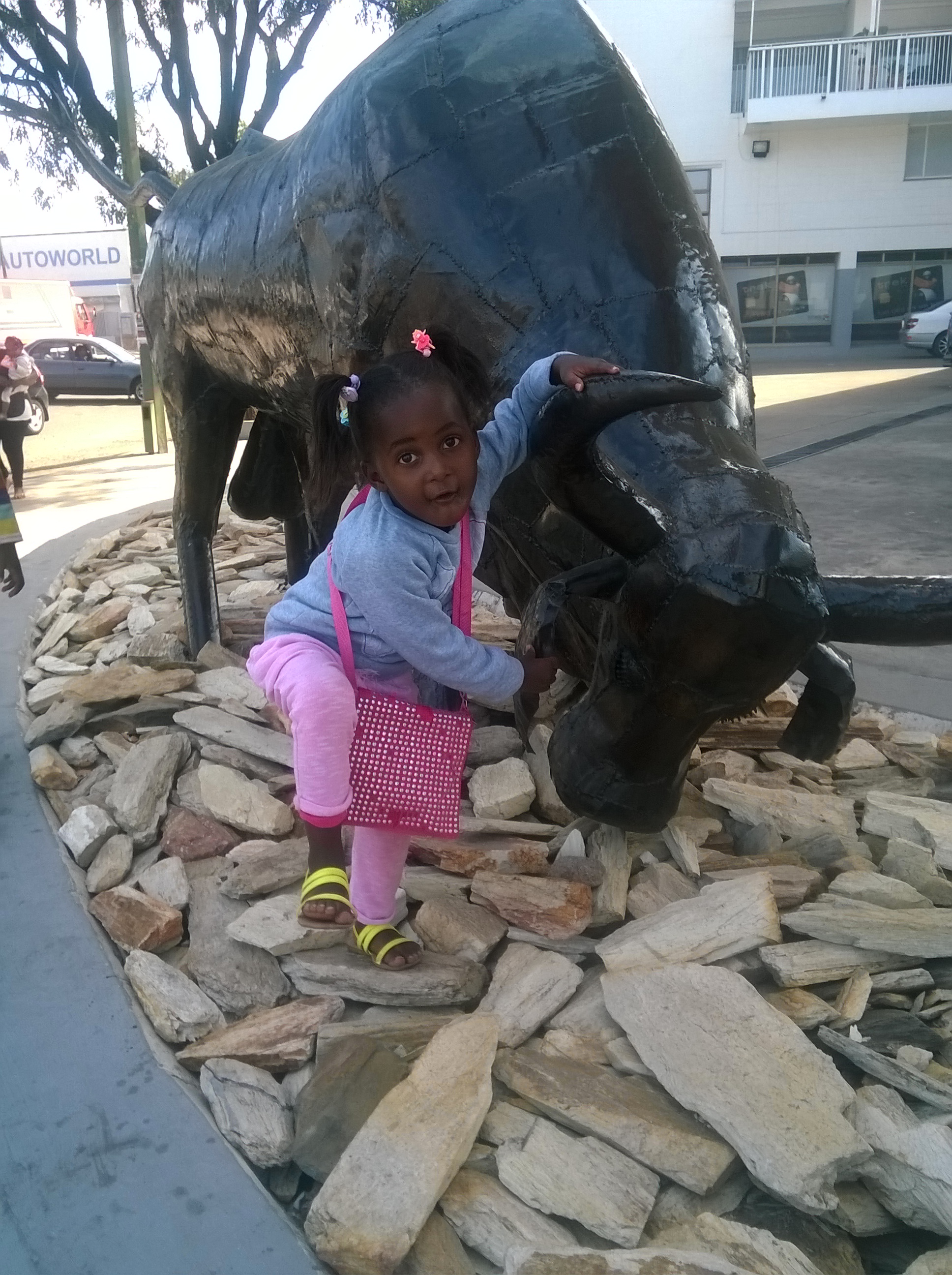 Taming the bull - Imgur