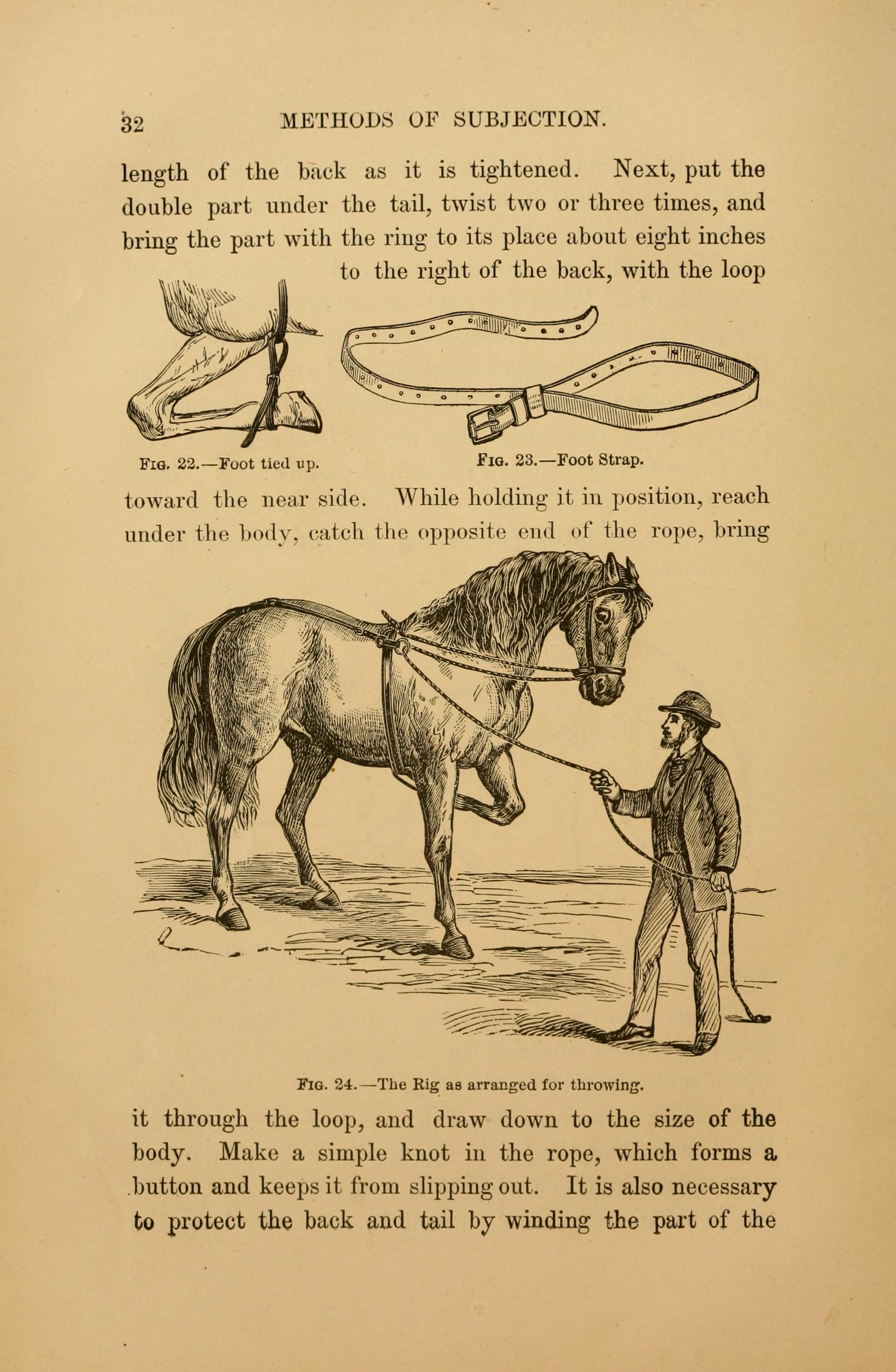 File:The art of taming and educating the horse (Page 32) BHL21387910 ...