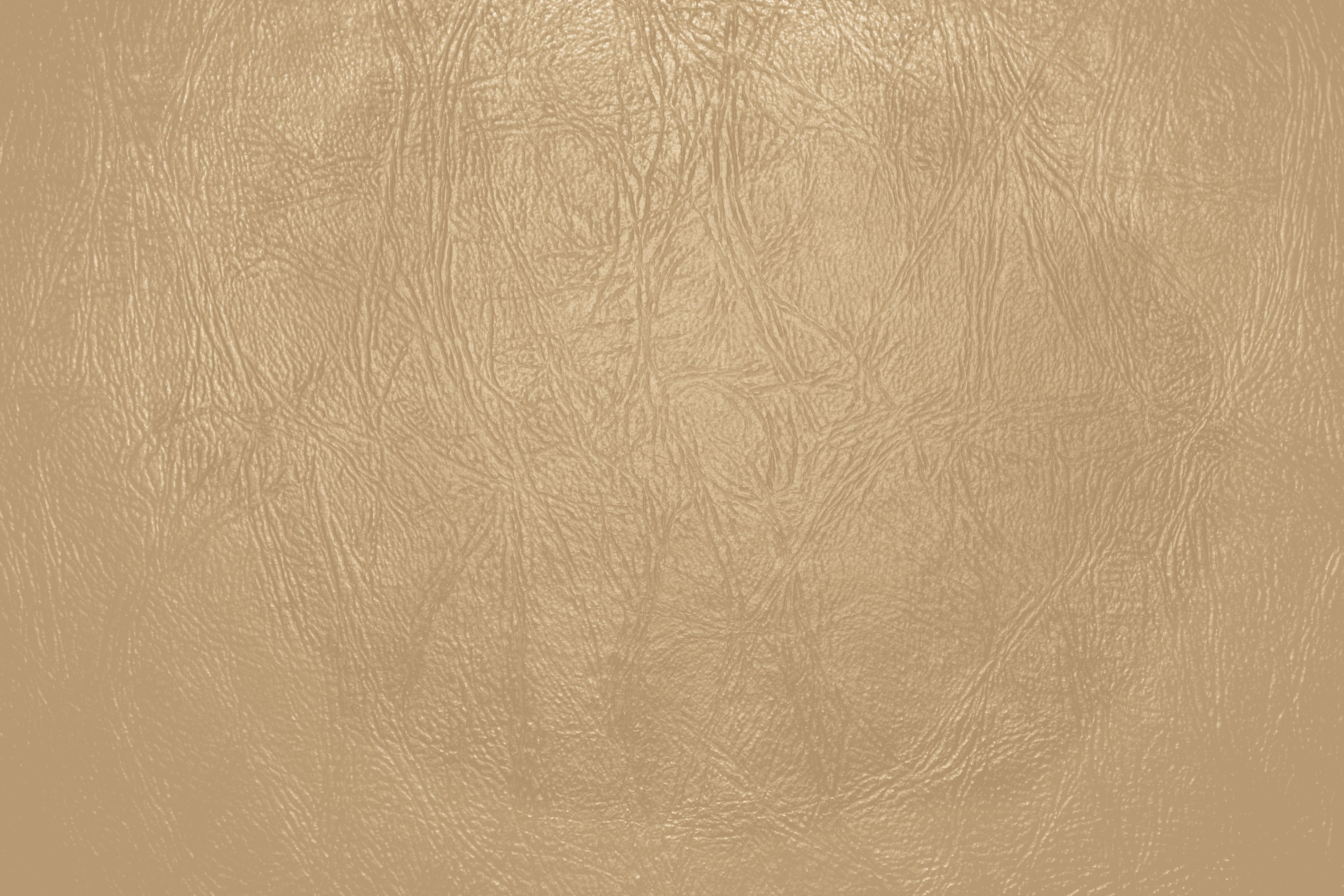 Tan Leather Close Up Texture Picture | Free Photograph | Photos ...