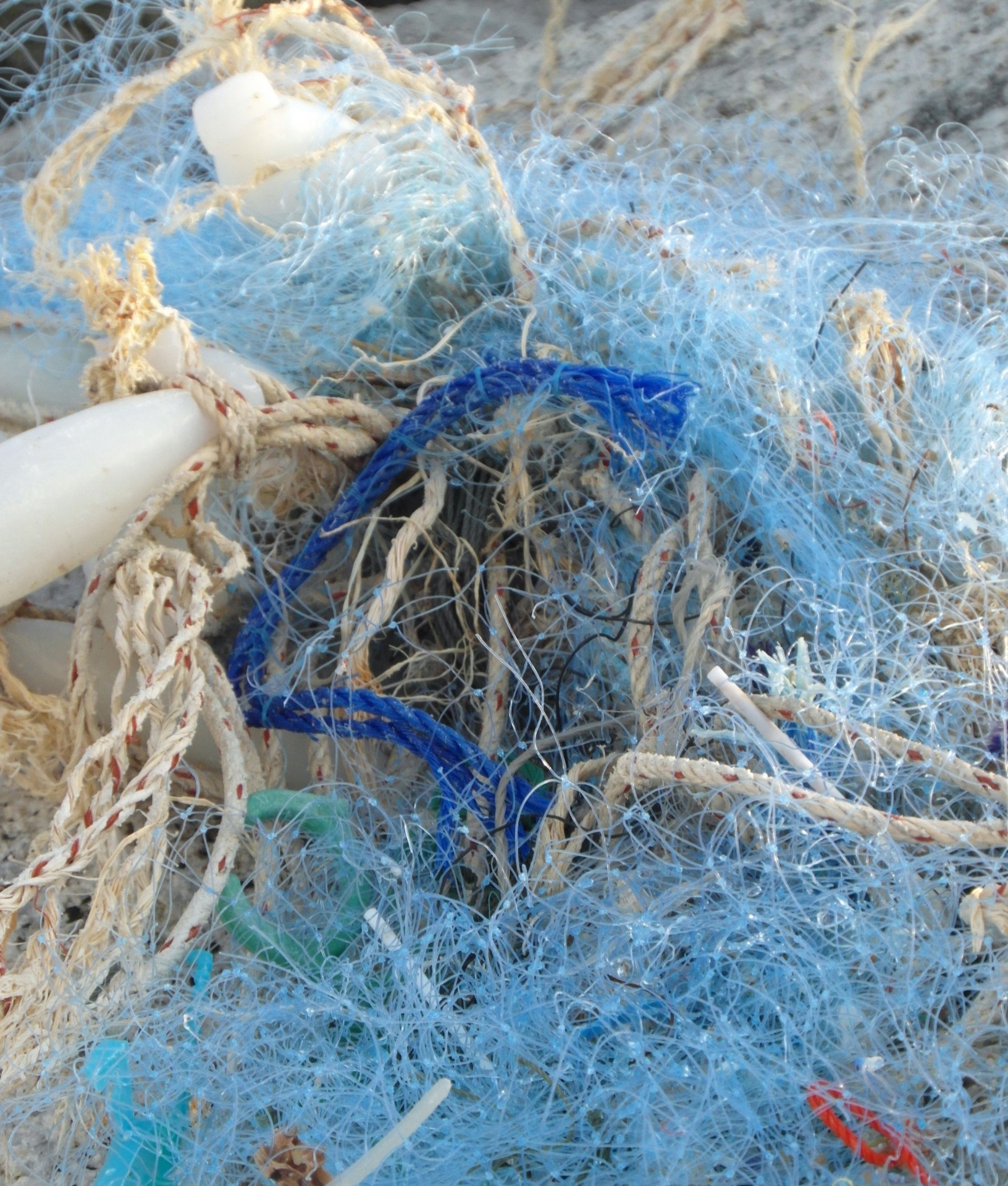 Tangled Fishing Nets Free Stock Photo - Public Domain Pictures