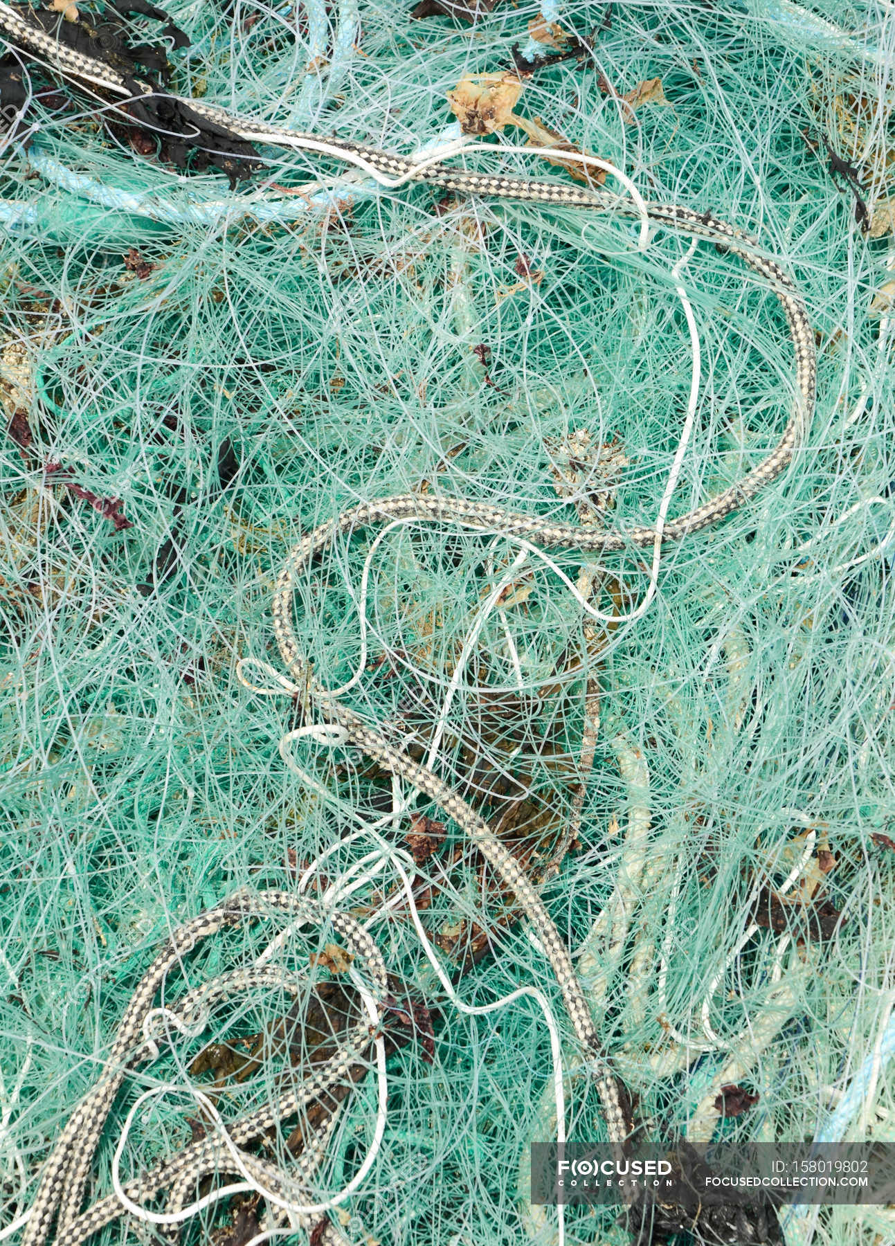 Tangled fishing net — Stock Photo | #158019802
