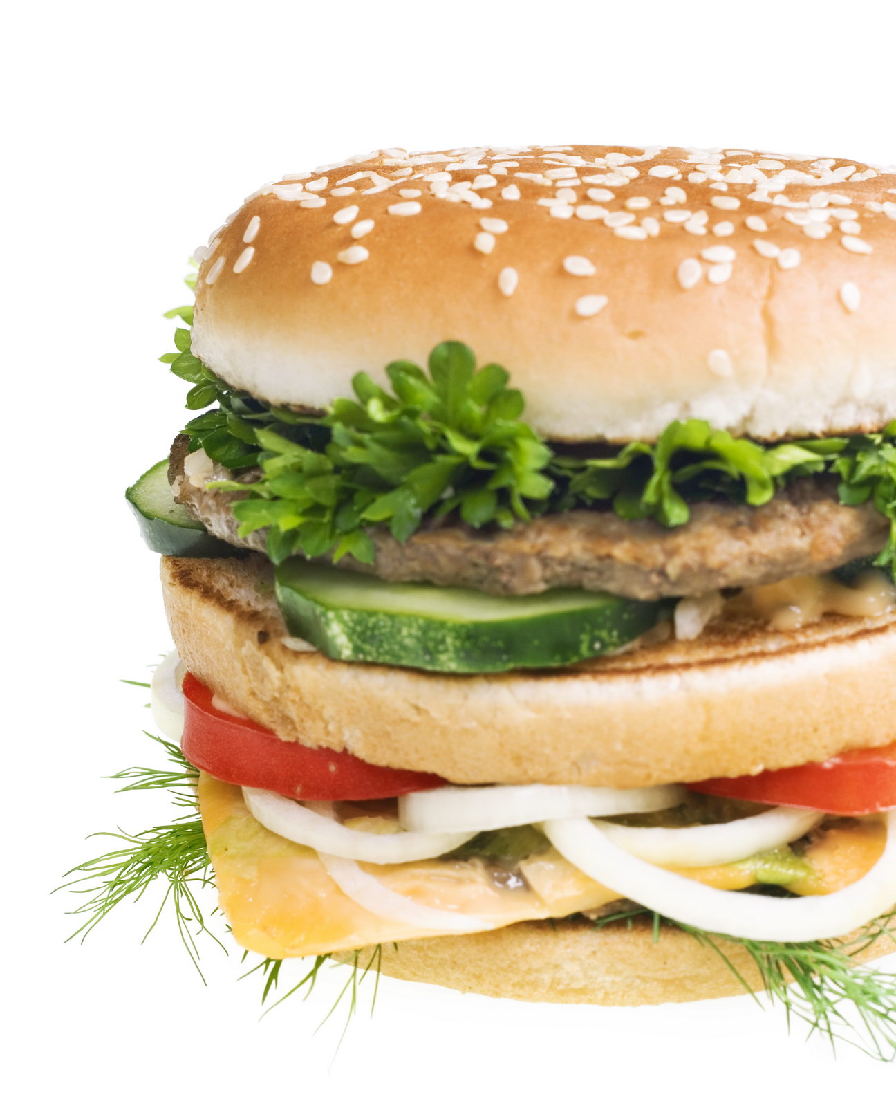Tasty hamburger, American, Hamburger, Unhealthy, Tasty, HQ Photo