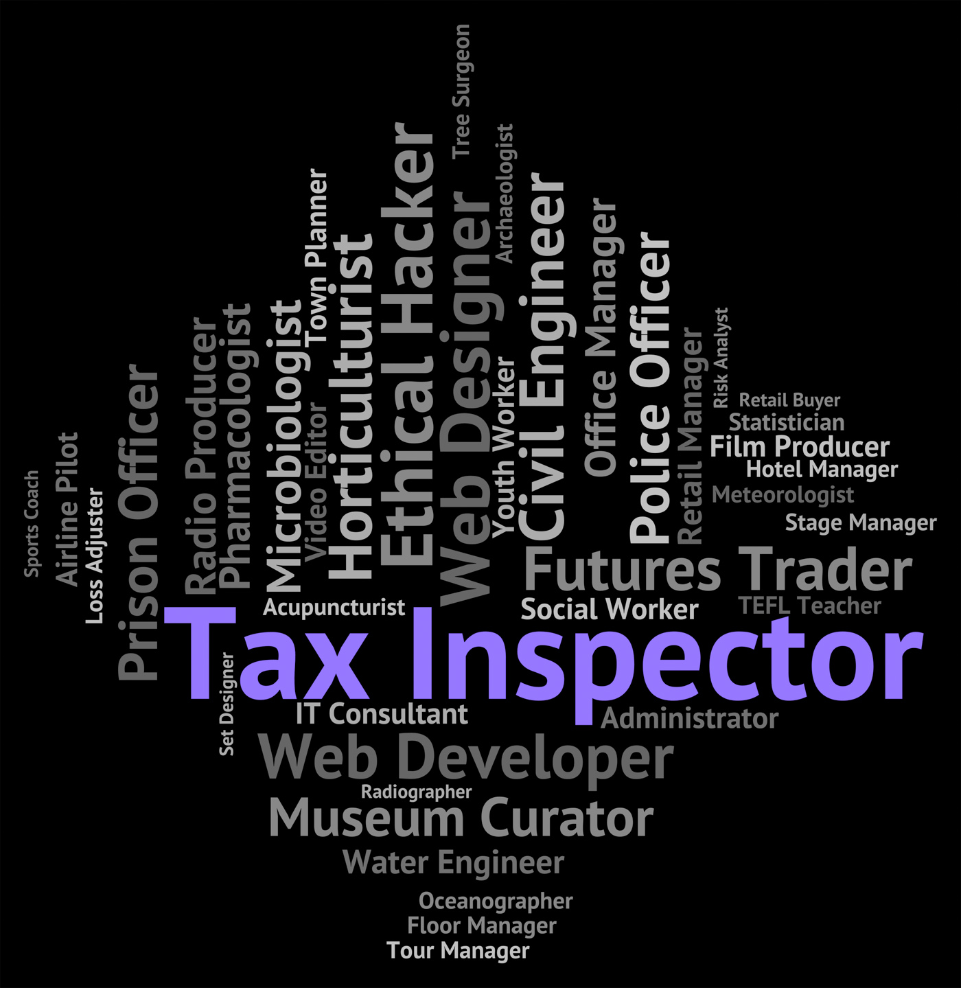 Tax inspector means employment career and taxpayer photo