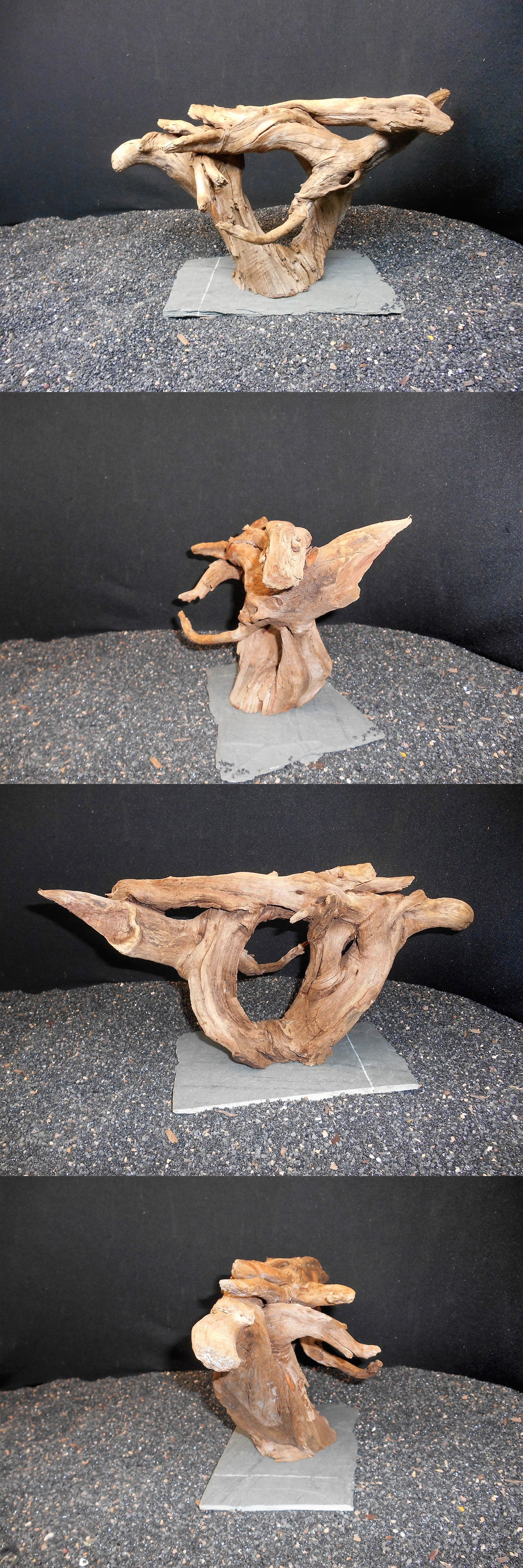 Decorations 66789: Mounted Driftwood For Fish Aquariums Reptile ...