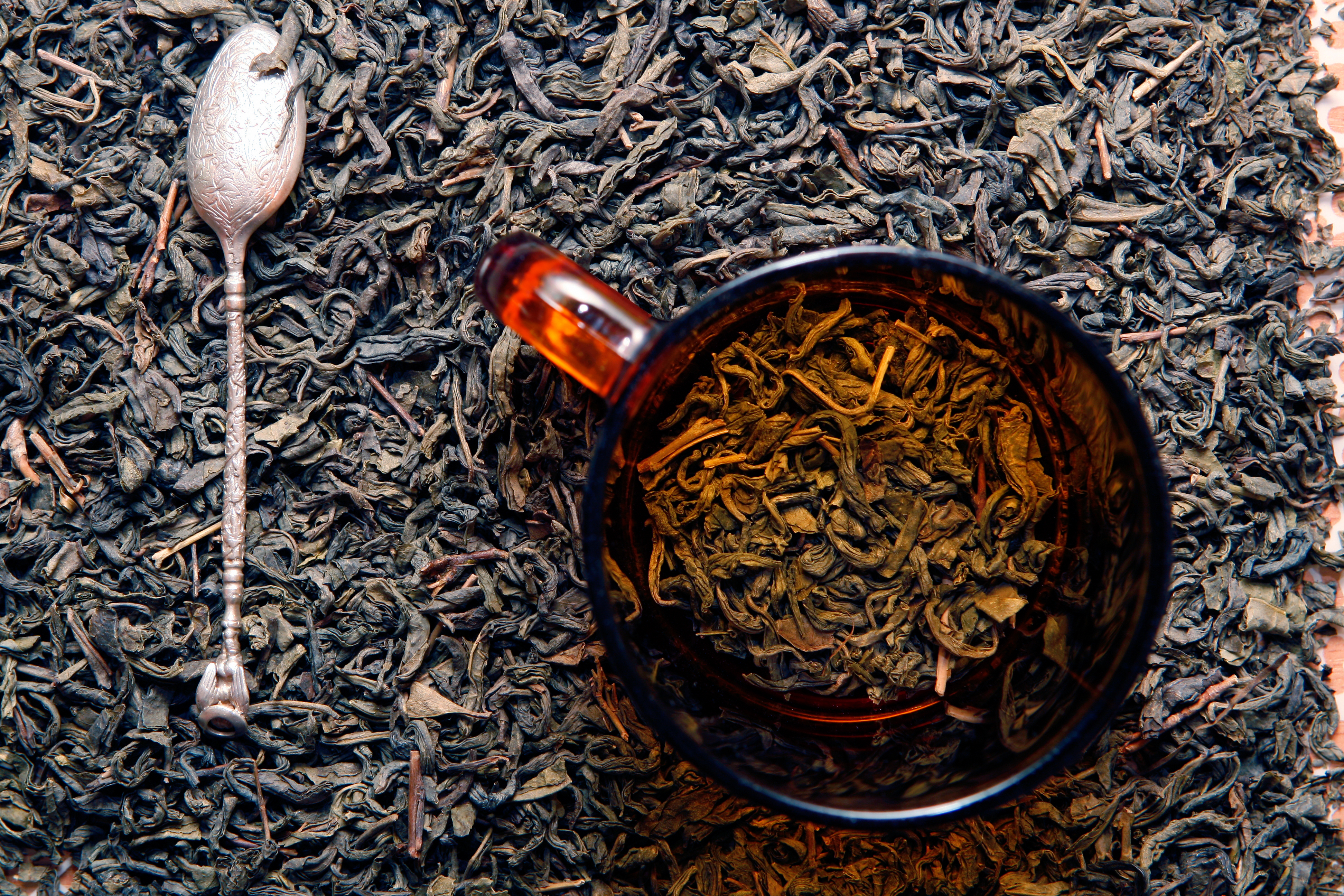 Как приготовить листья чая. Bharmal чай. Вчерашний чай. Чай из сушеных грибов. Черный чай на природе.