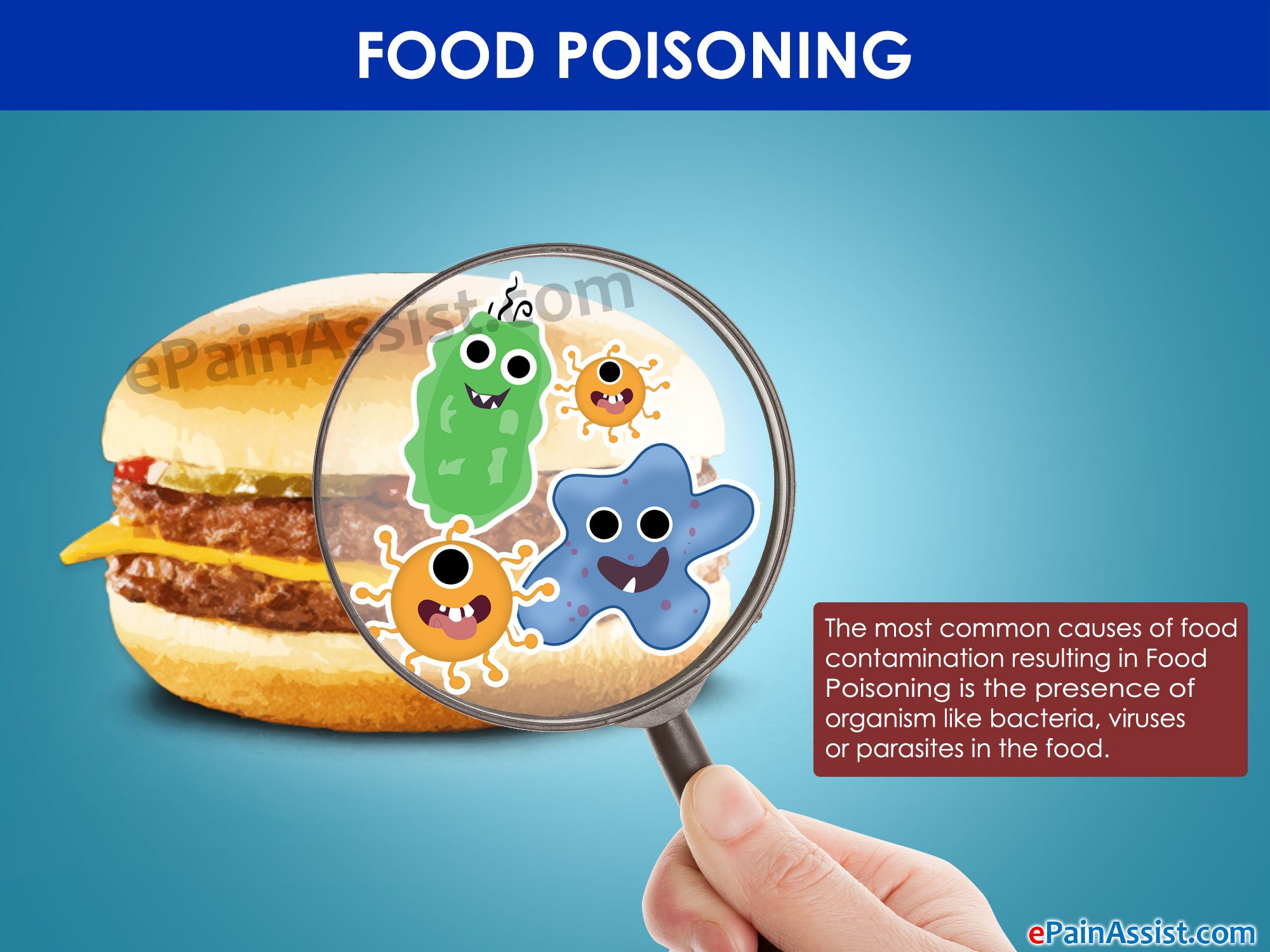 Food Poison - Lessons - Tes Teach