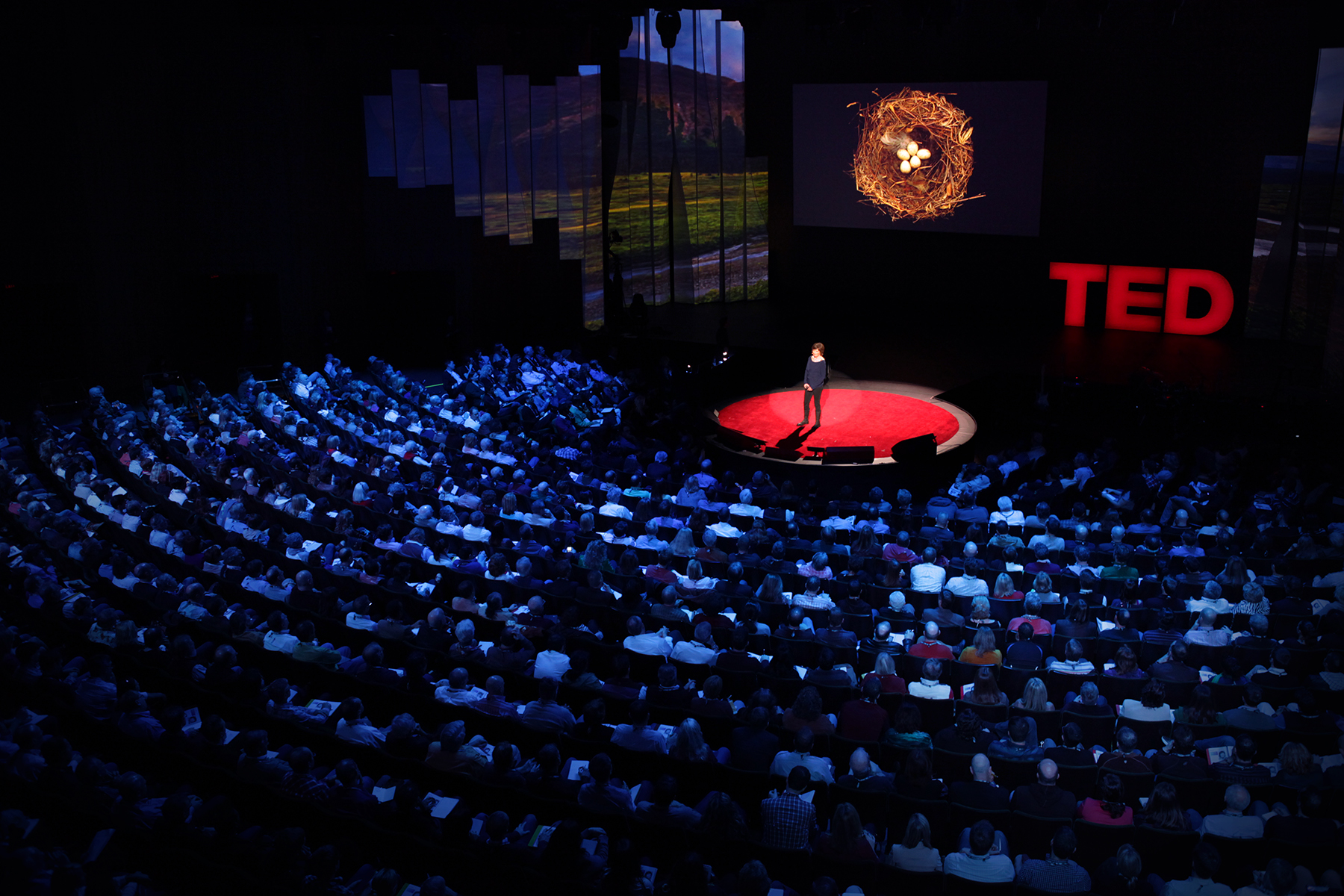 5 Funny TED Talks You Should Watch Now
