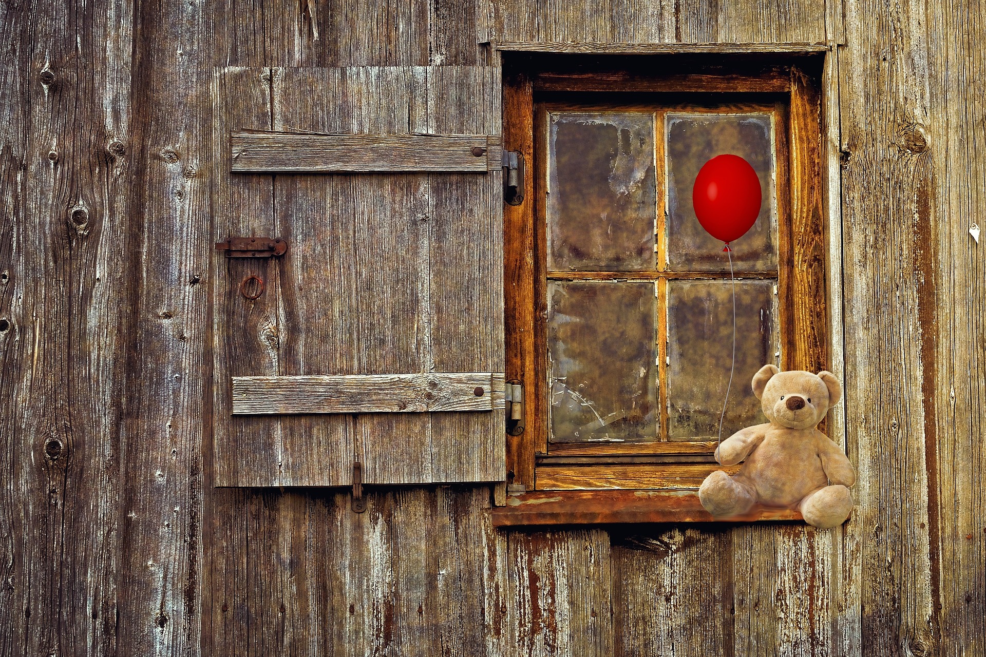 Ted, Teddy bear