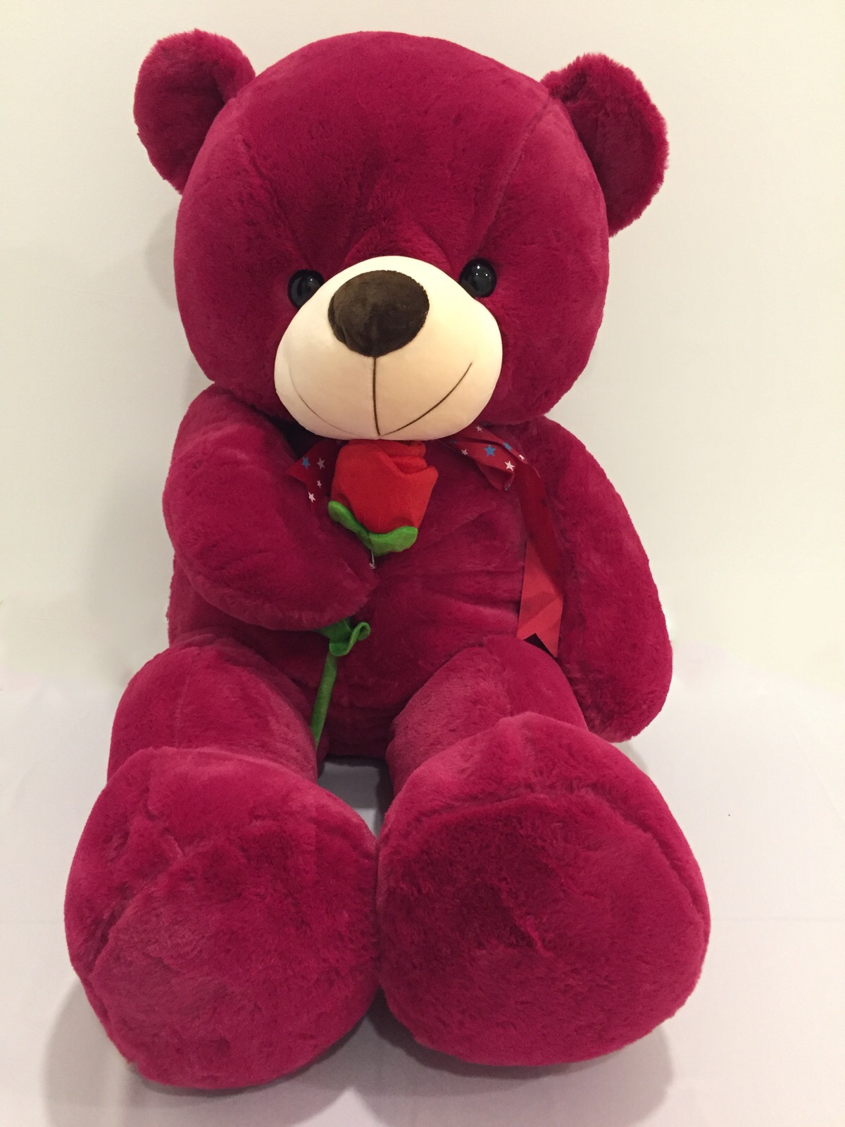 Red Teddy Bear: The Bestselling Bear With The Rose