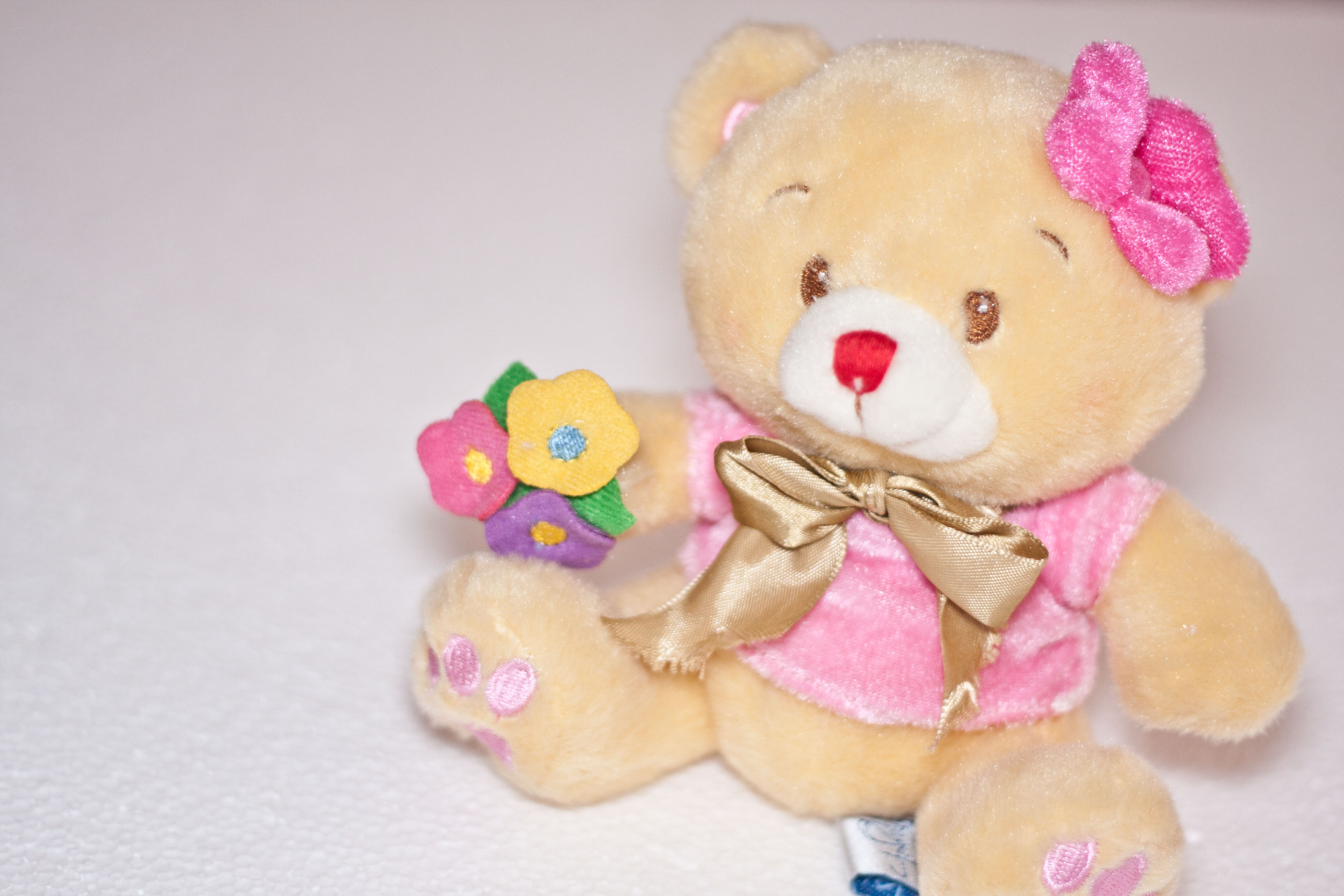 How to Choose a Teddy Bear: 11 Steps (with Pictures) - wikiHow