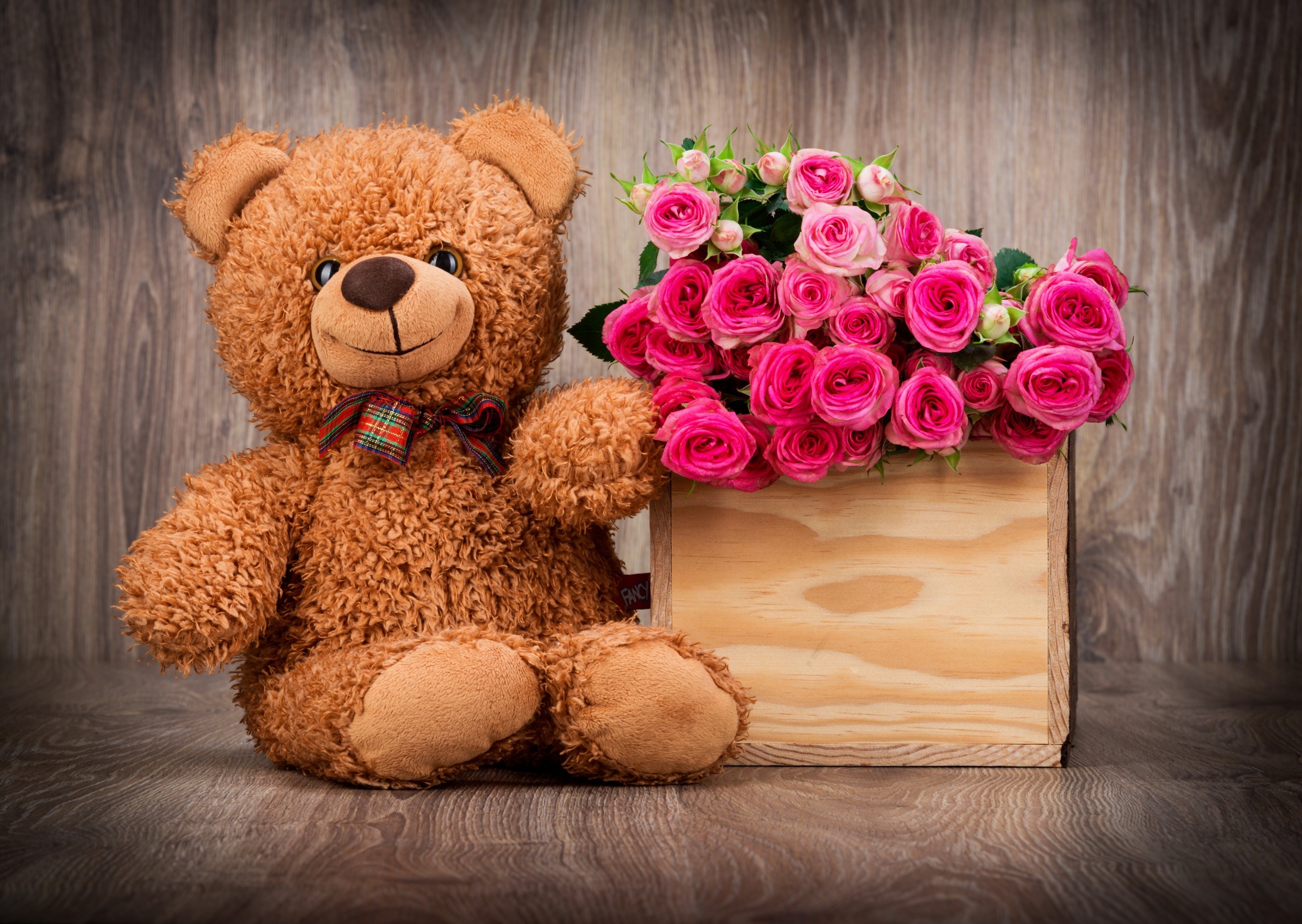Cute Teddy Bear Wallpapers (61+ pictures)