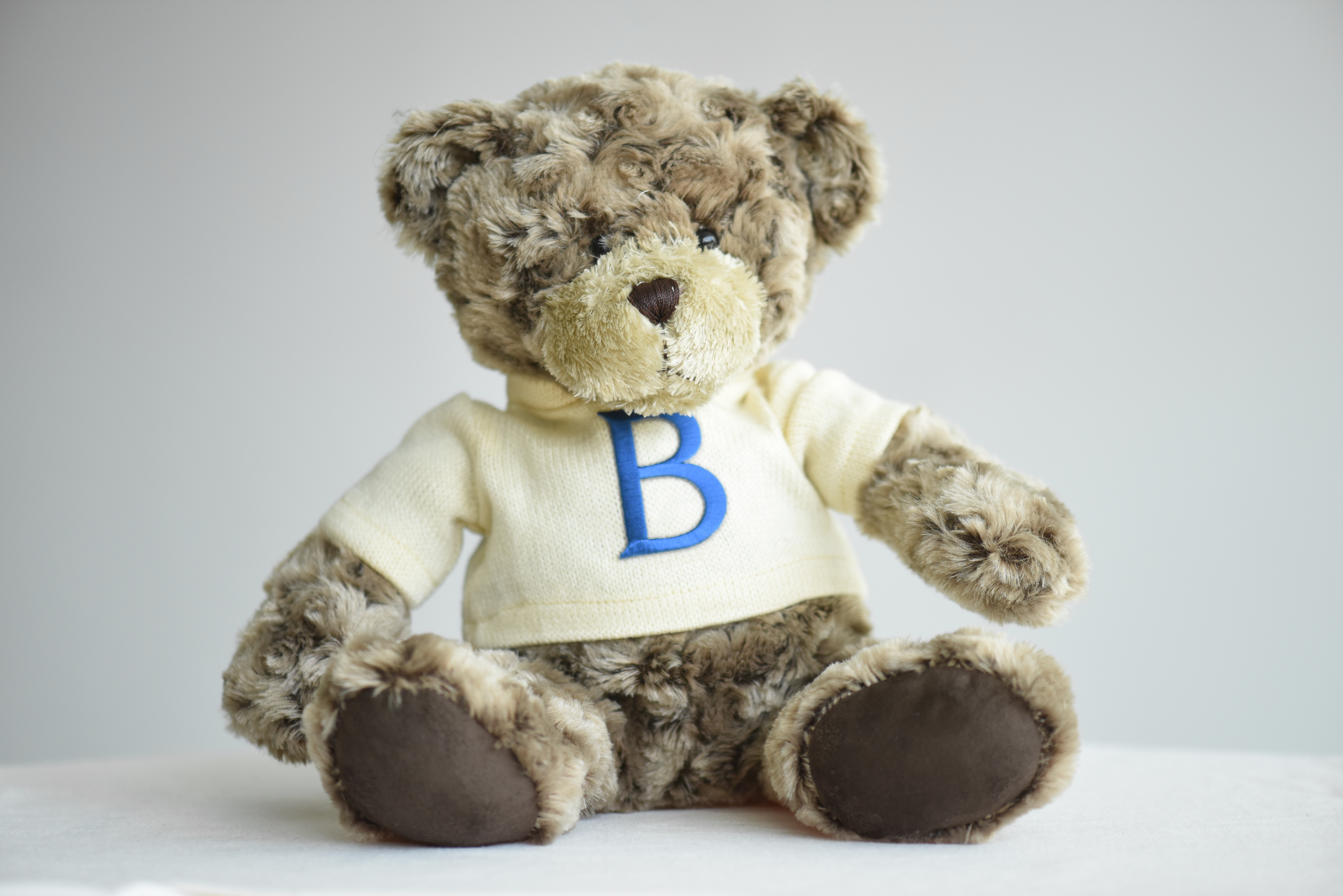 Sweater Teddy Bear – THE BARNARD STORE
