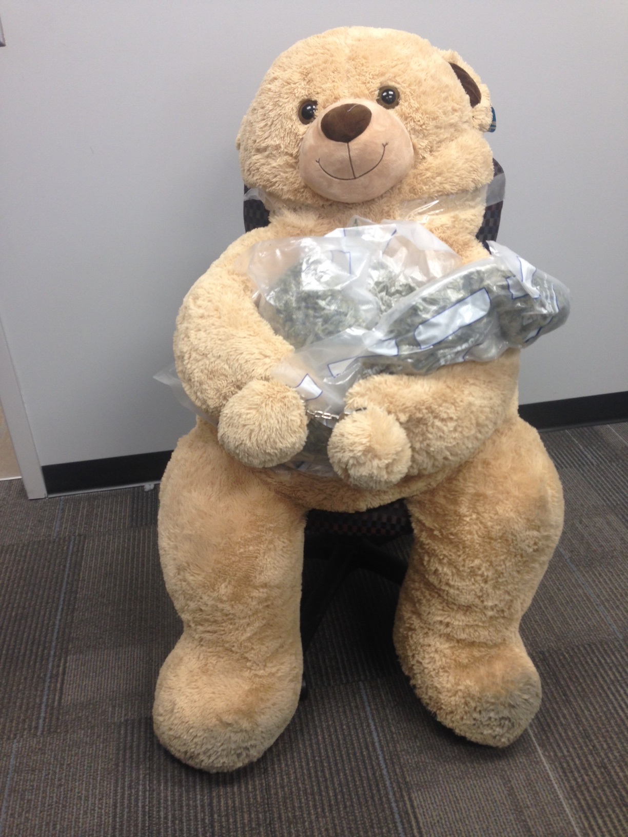 Deputies Find Marijuana Inside Teddy Bear | KFOR FM 103.3 1240 AM