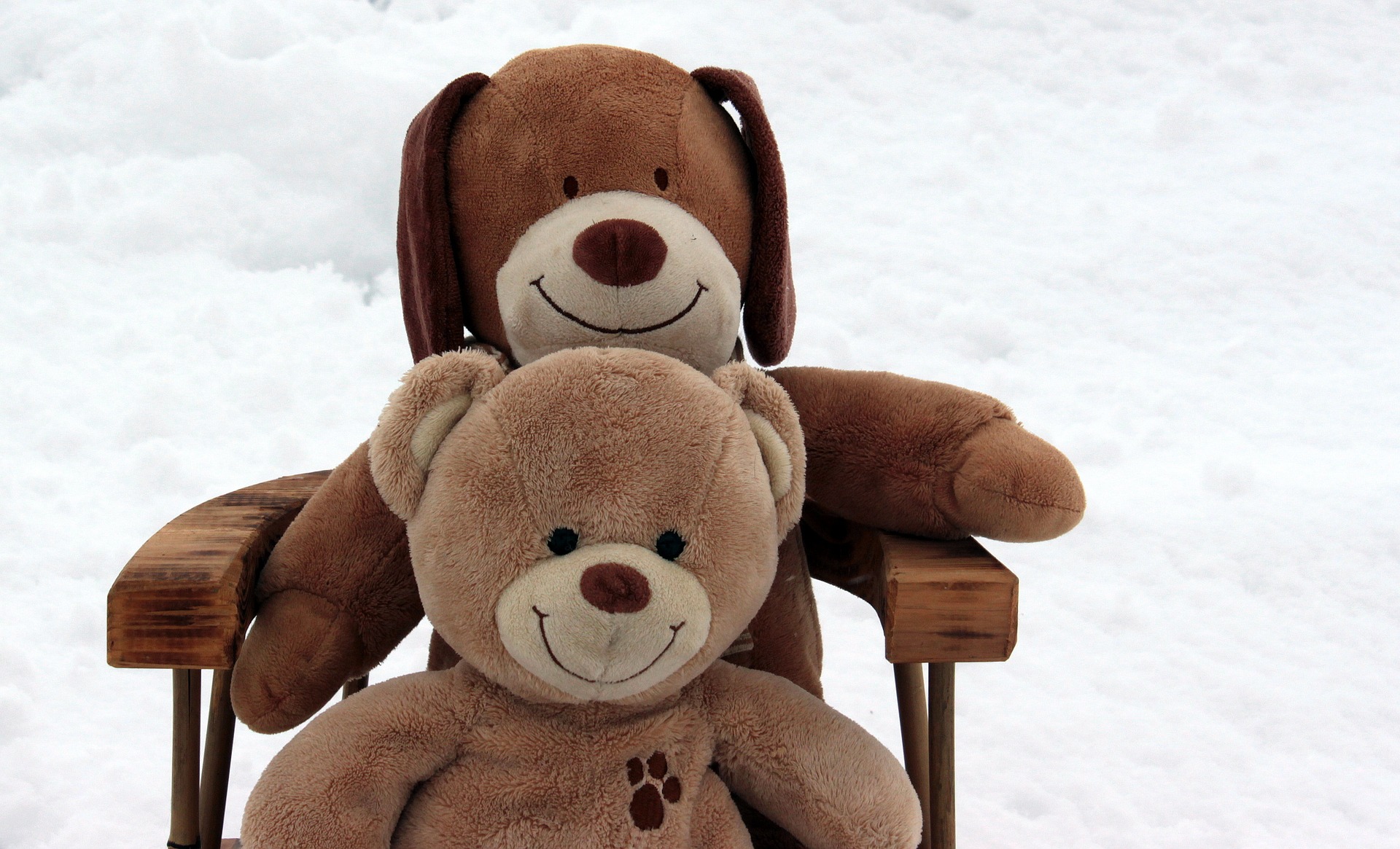 Teddy bears in the snow photo