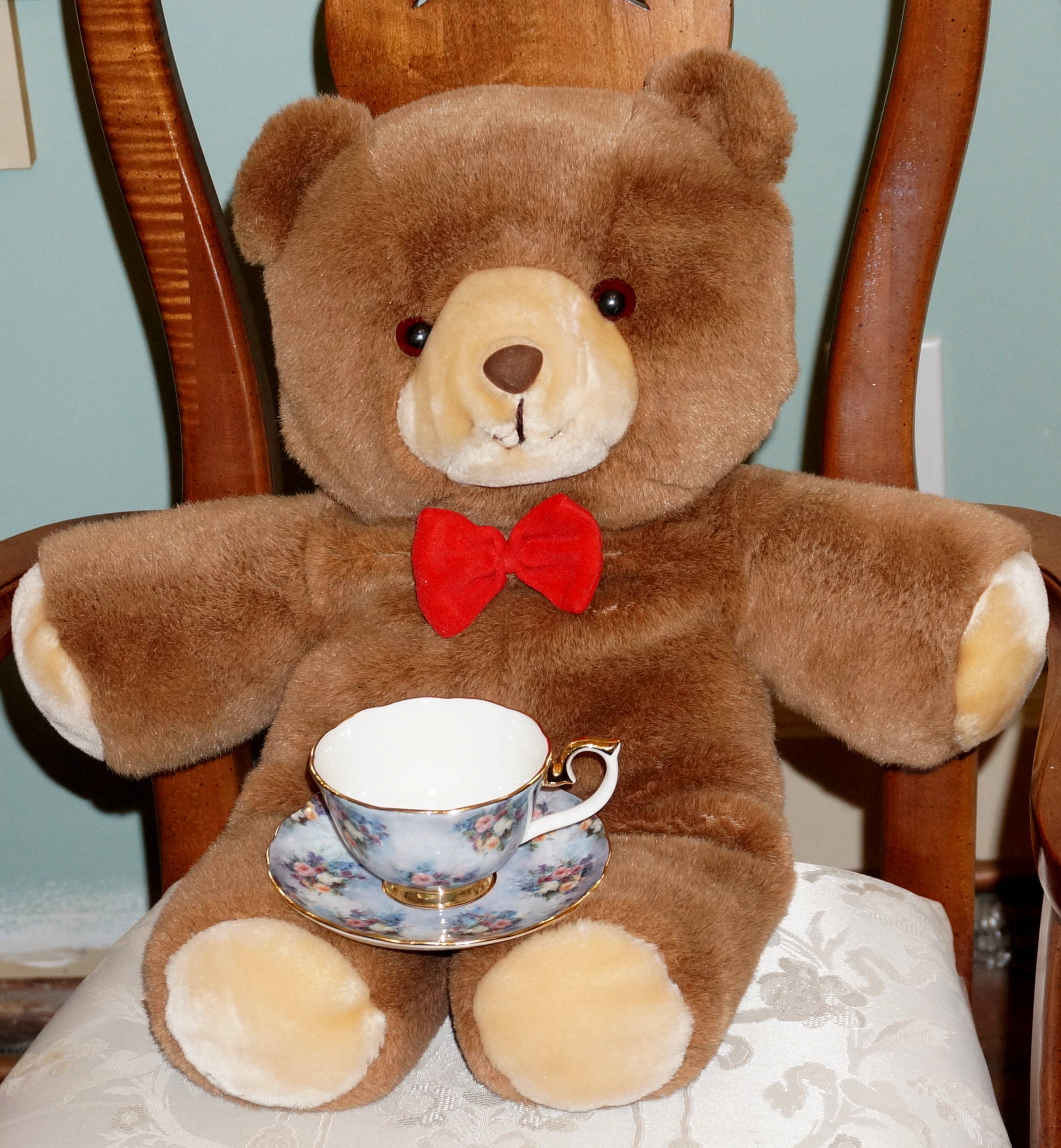 Teddy tea photo