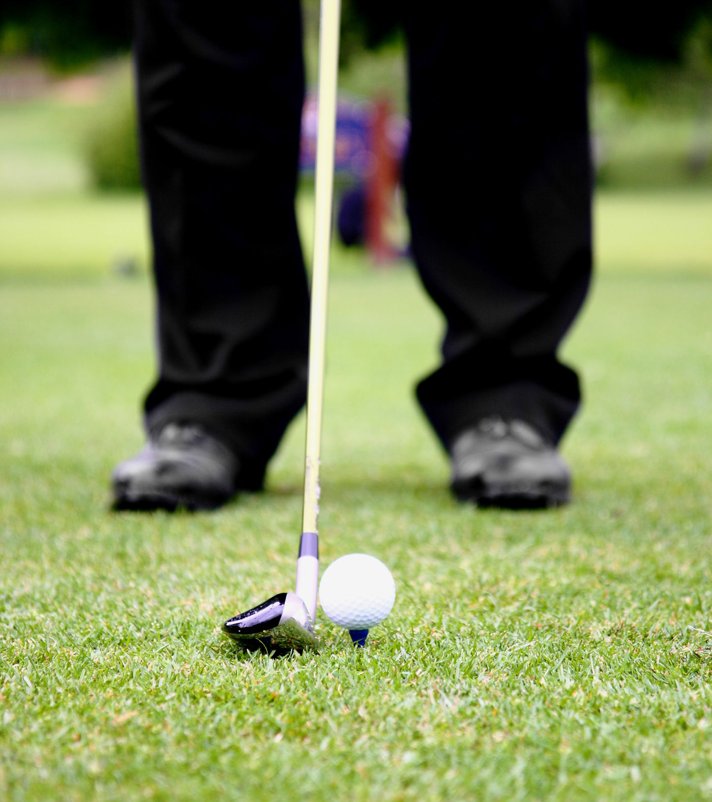 Teeing Off On A Golf Course, Aim, Ready, Outdoor, Outside, HQ Photo
