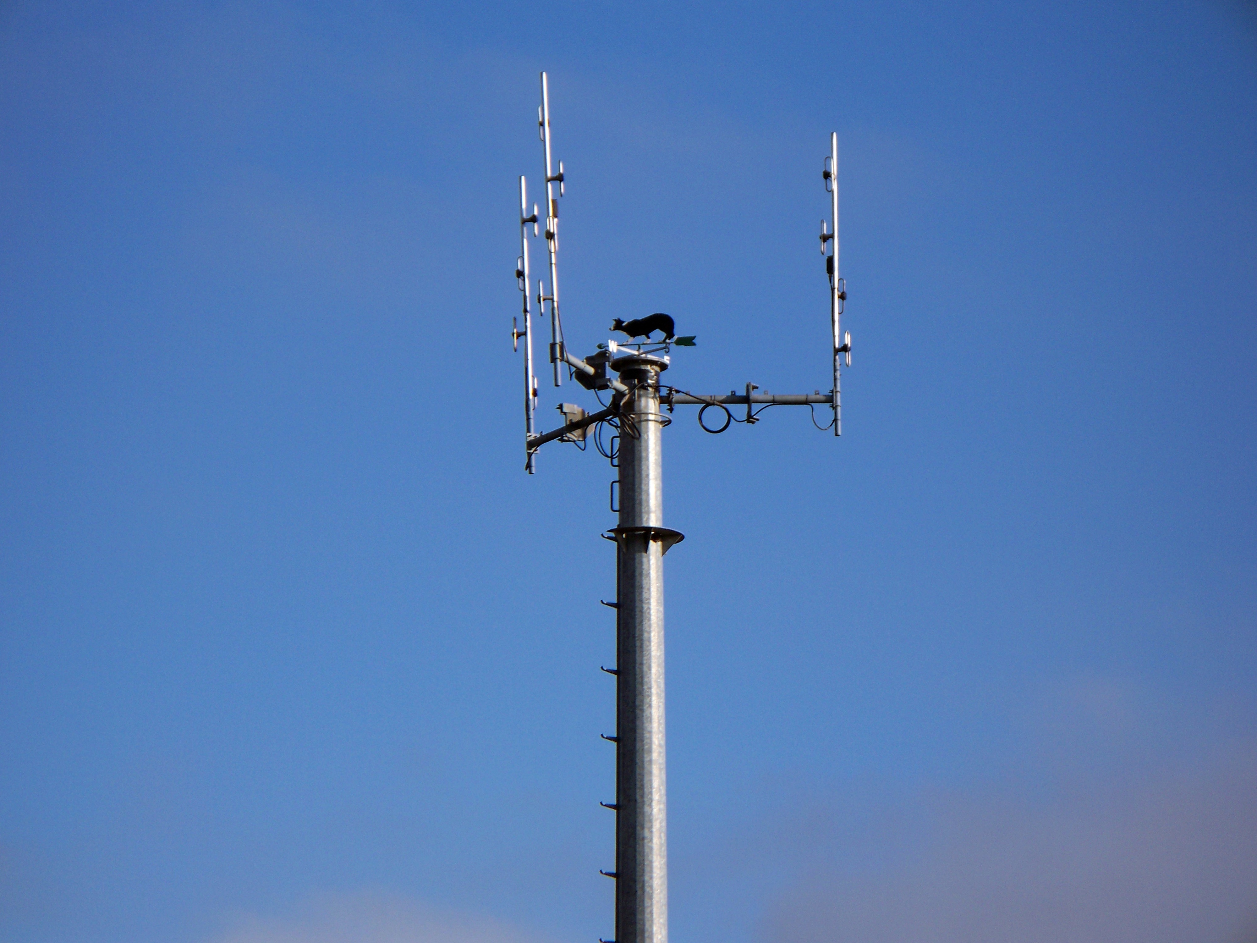 File:Telecommunications mast - geograph.org.uk - 1713144.jpg ...