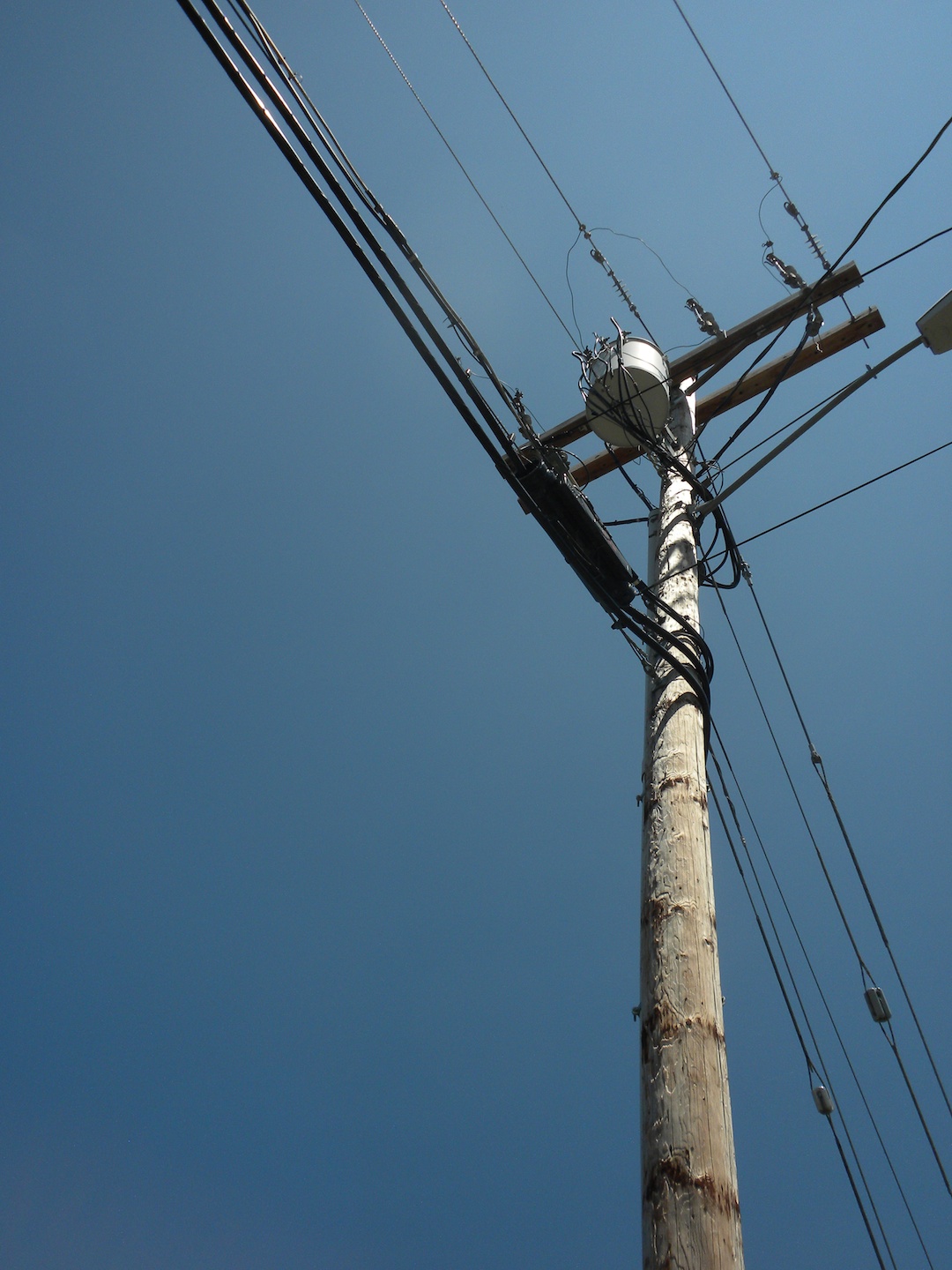 Free Photo Telephone Wires Pole Telephone Tree Free Download 