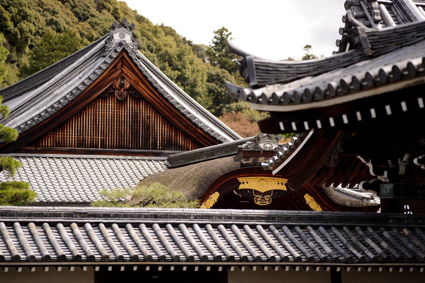 Jeffrey Friedl's Blog » Roofs and Rock Gardens at Kyoto's Sennyuji ...