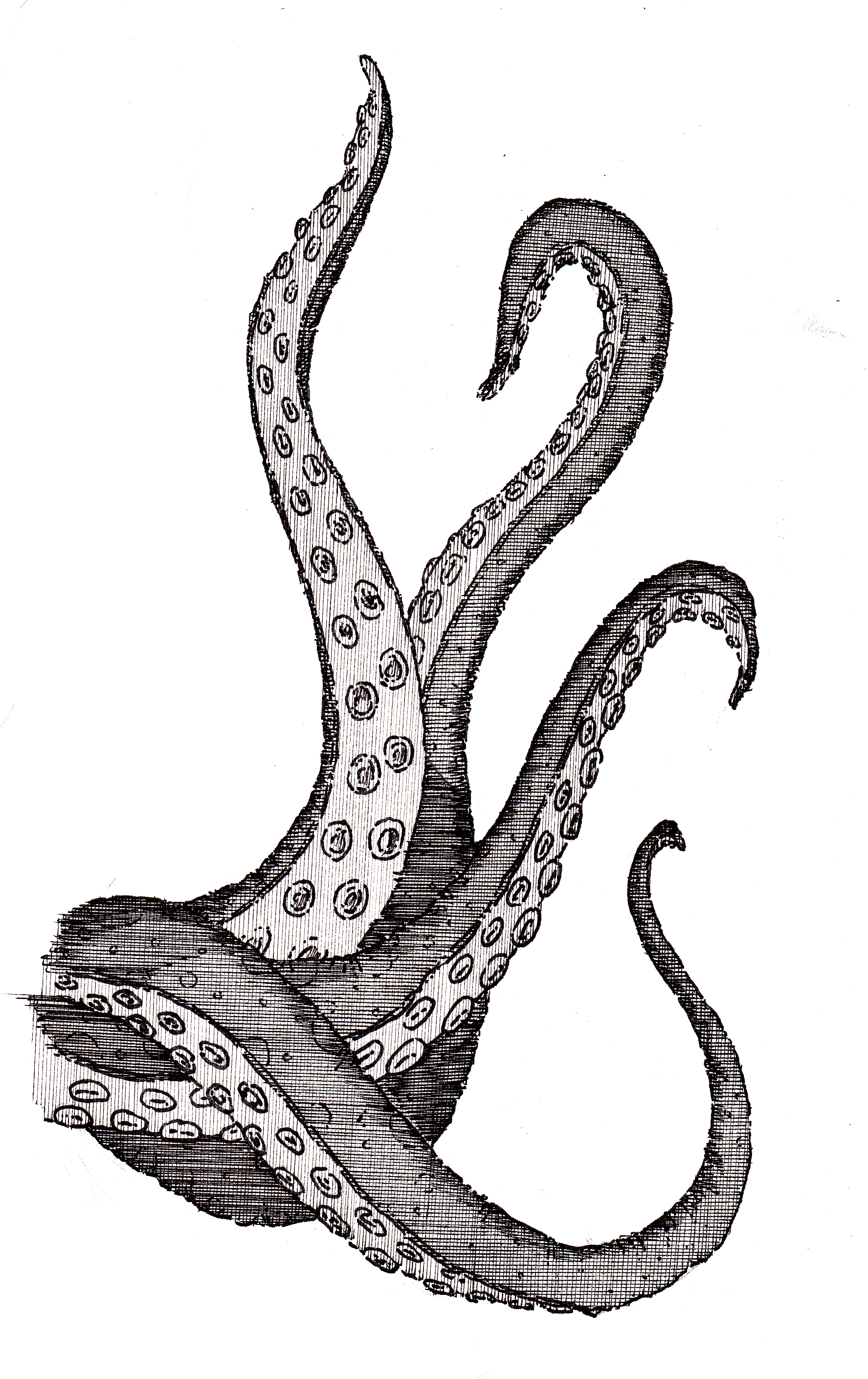 tentacles | peteglantingdraws