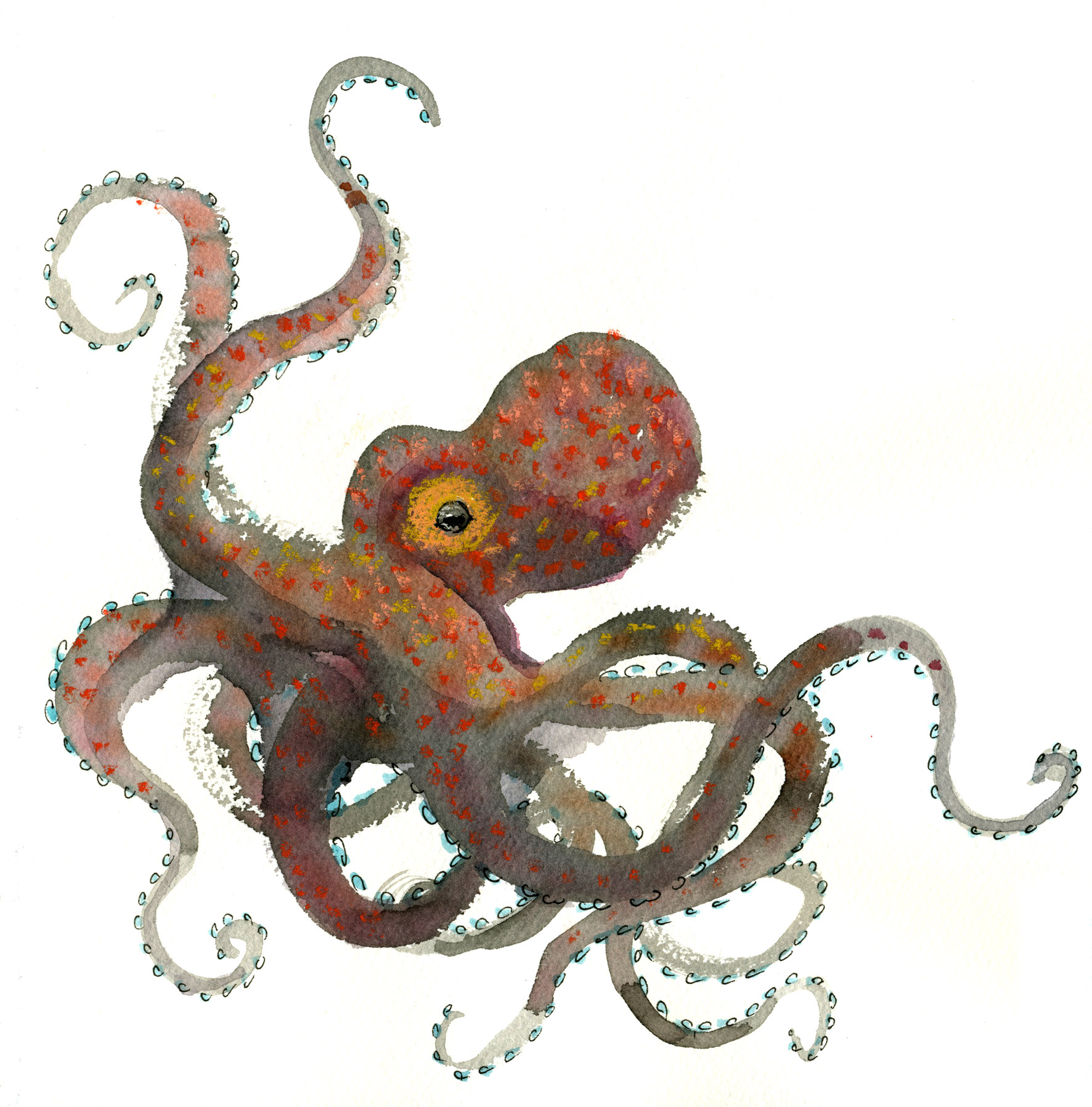 Octopus Tentacles Drawing at GetDrawings.com | Free for personal use ...