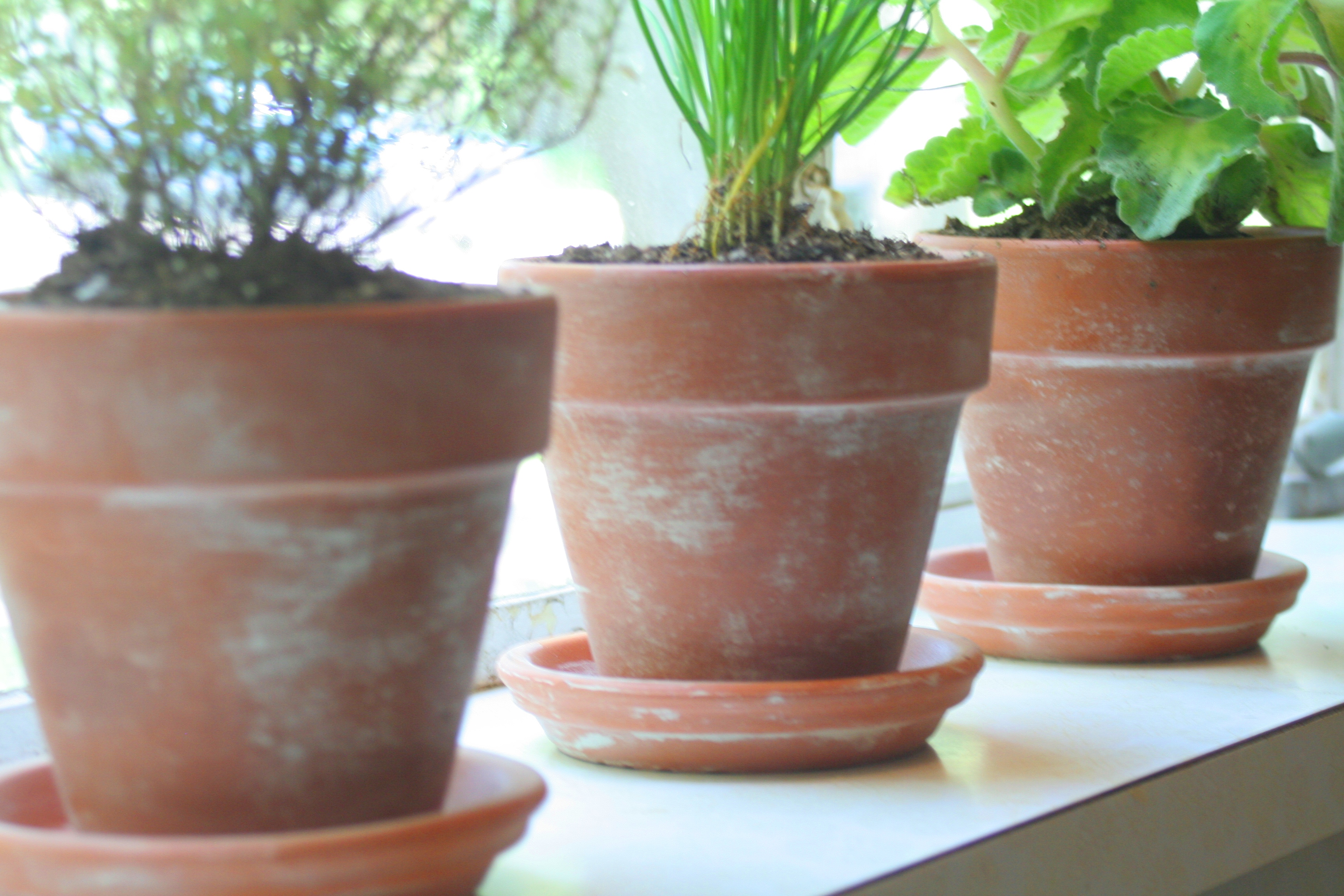 Aging Terra Cotta Pots Tutorial | the rescued home