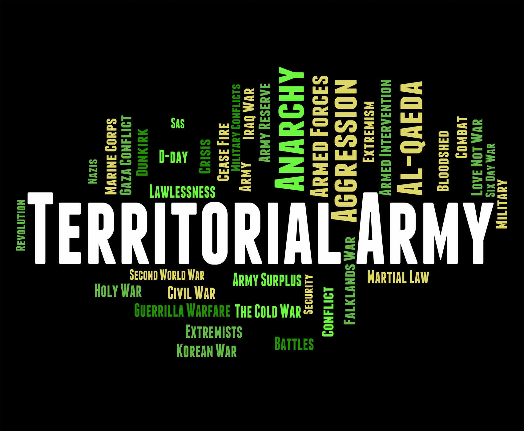 Territorial army means armed services and tavr photo