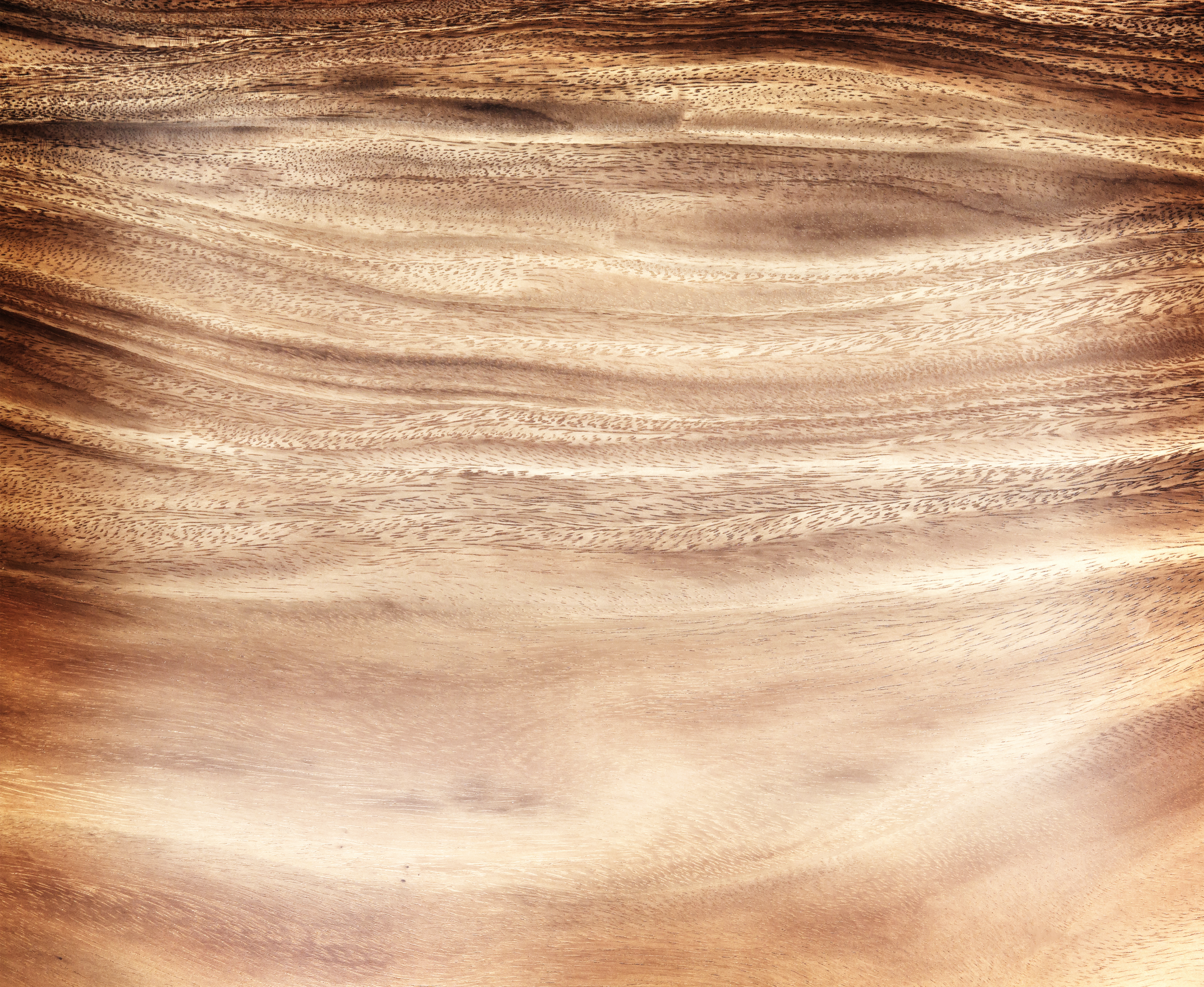 Texture of wood background closeup photo