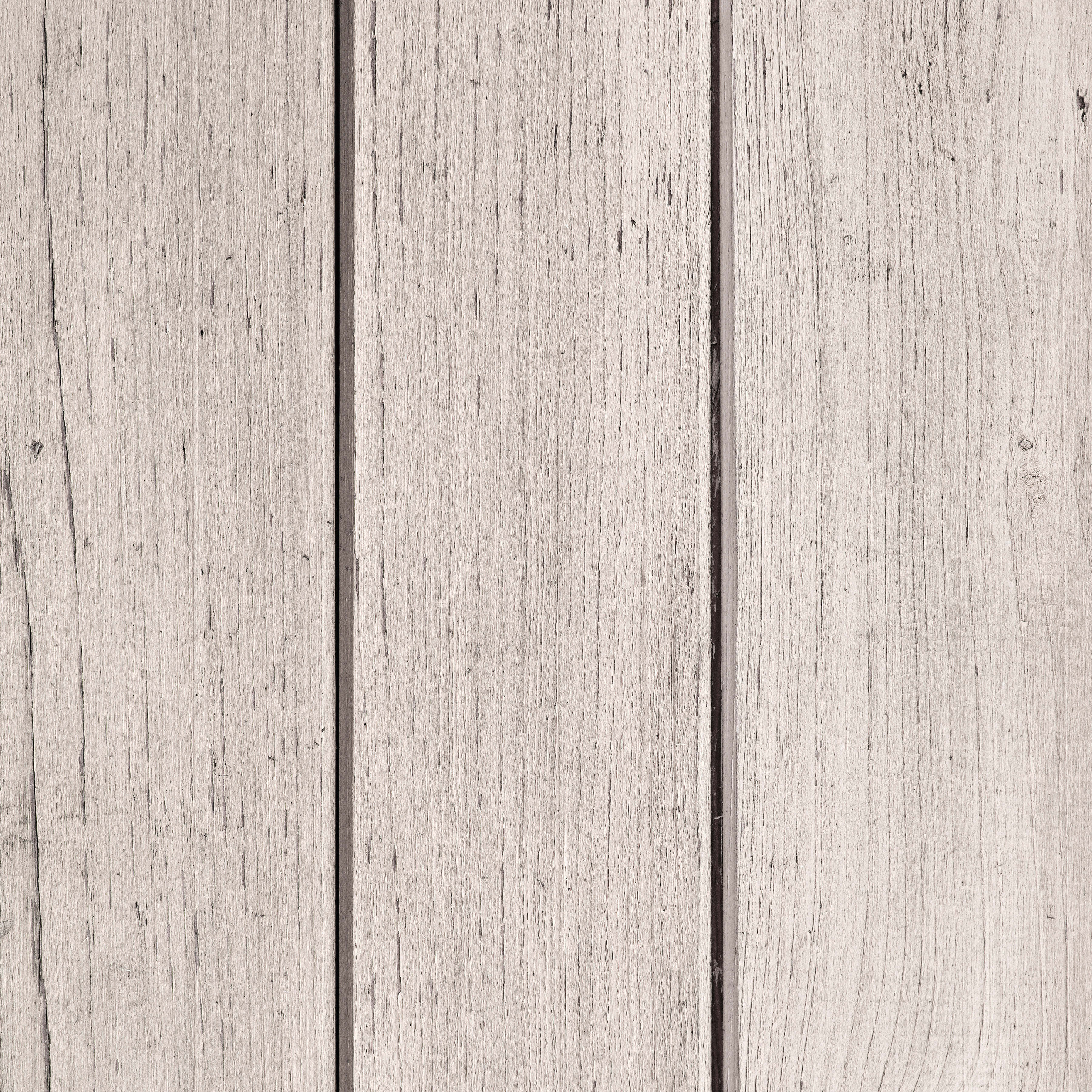 Texture of wood background closeup photo