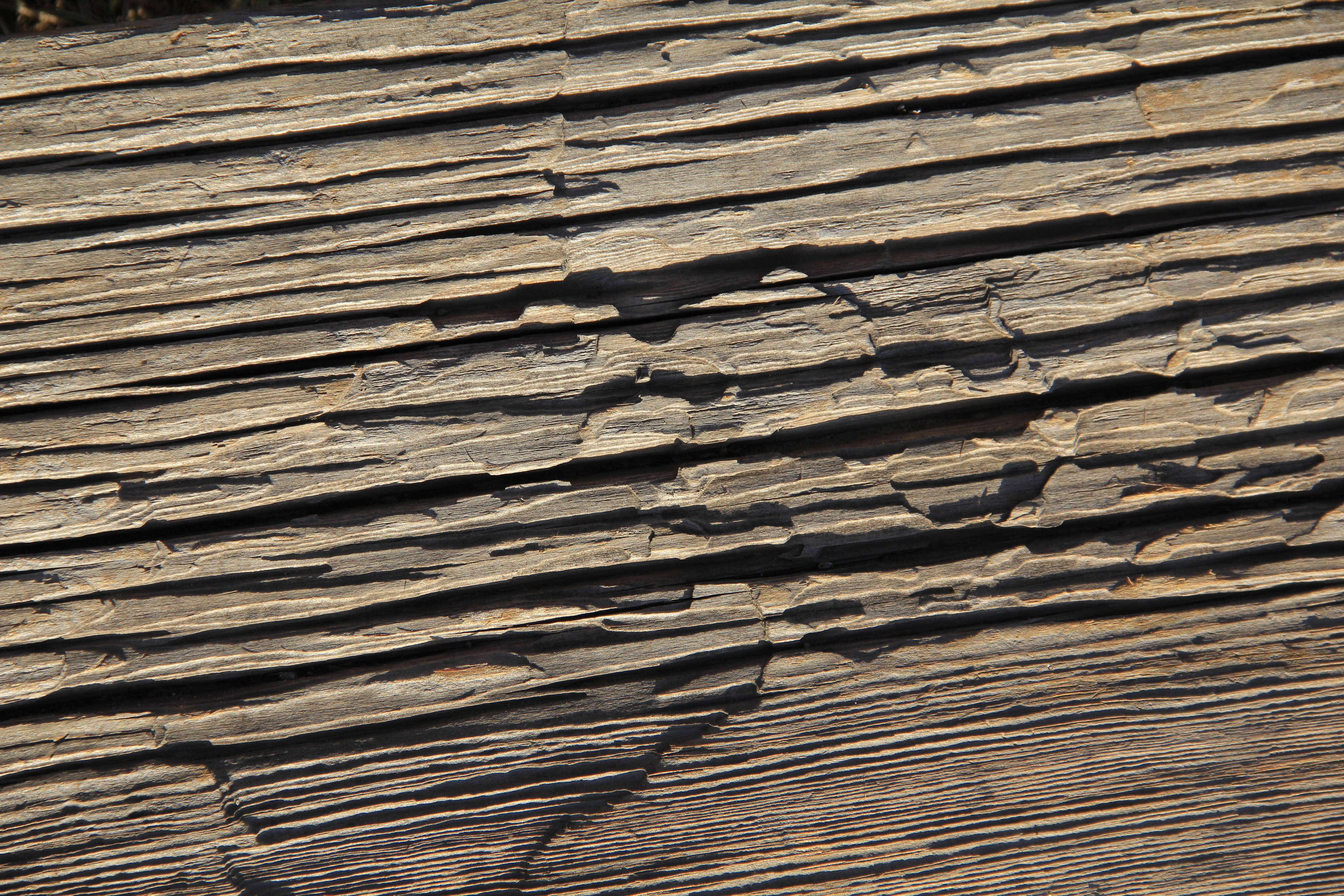 Wood Textures Archives - Page 4 of 10 - TextureX- Free and premium ...