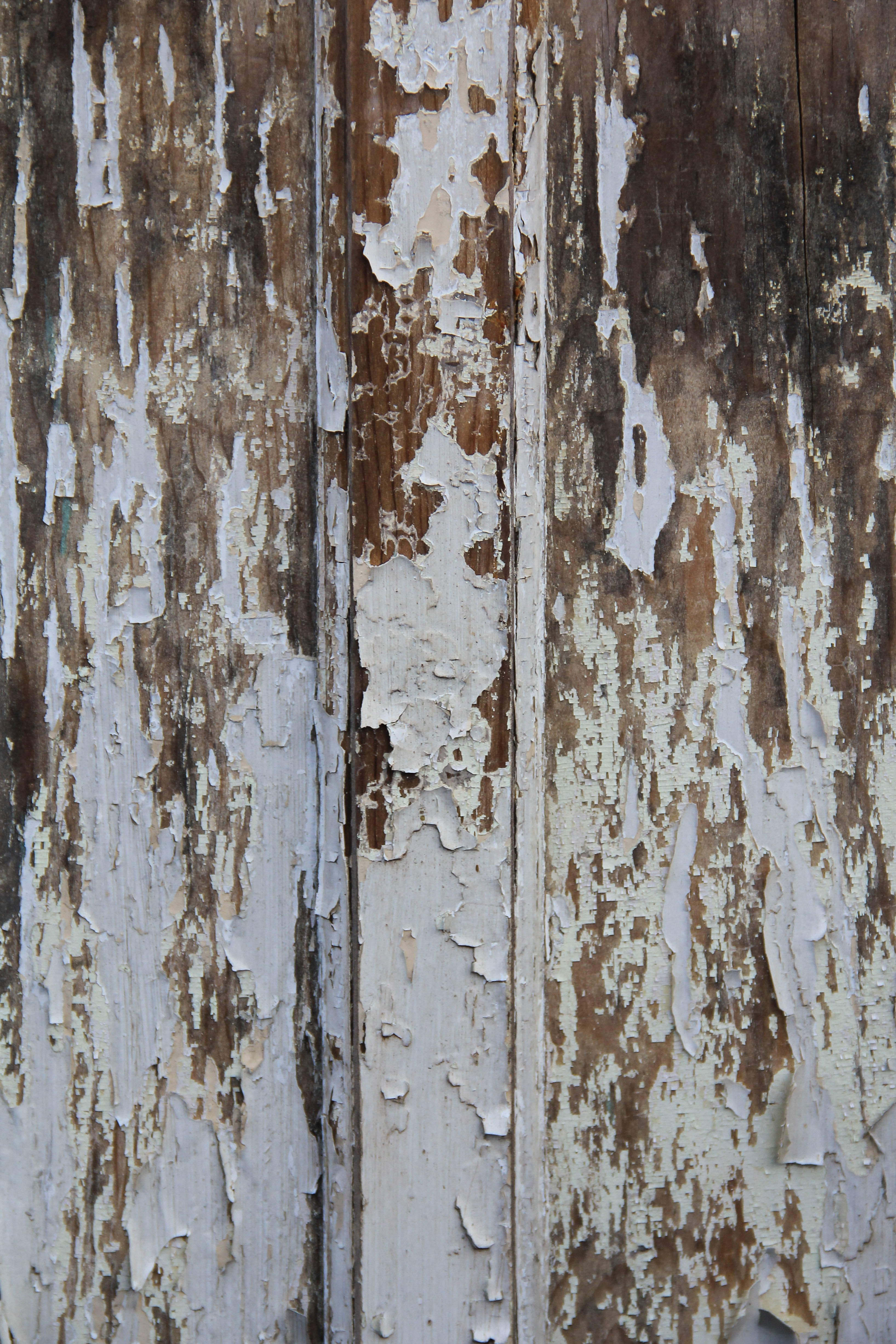 grunge texture cracked chipped paint wood door white rough splinter ...