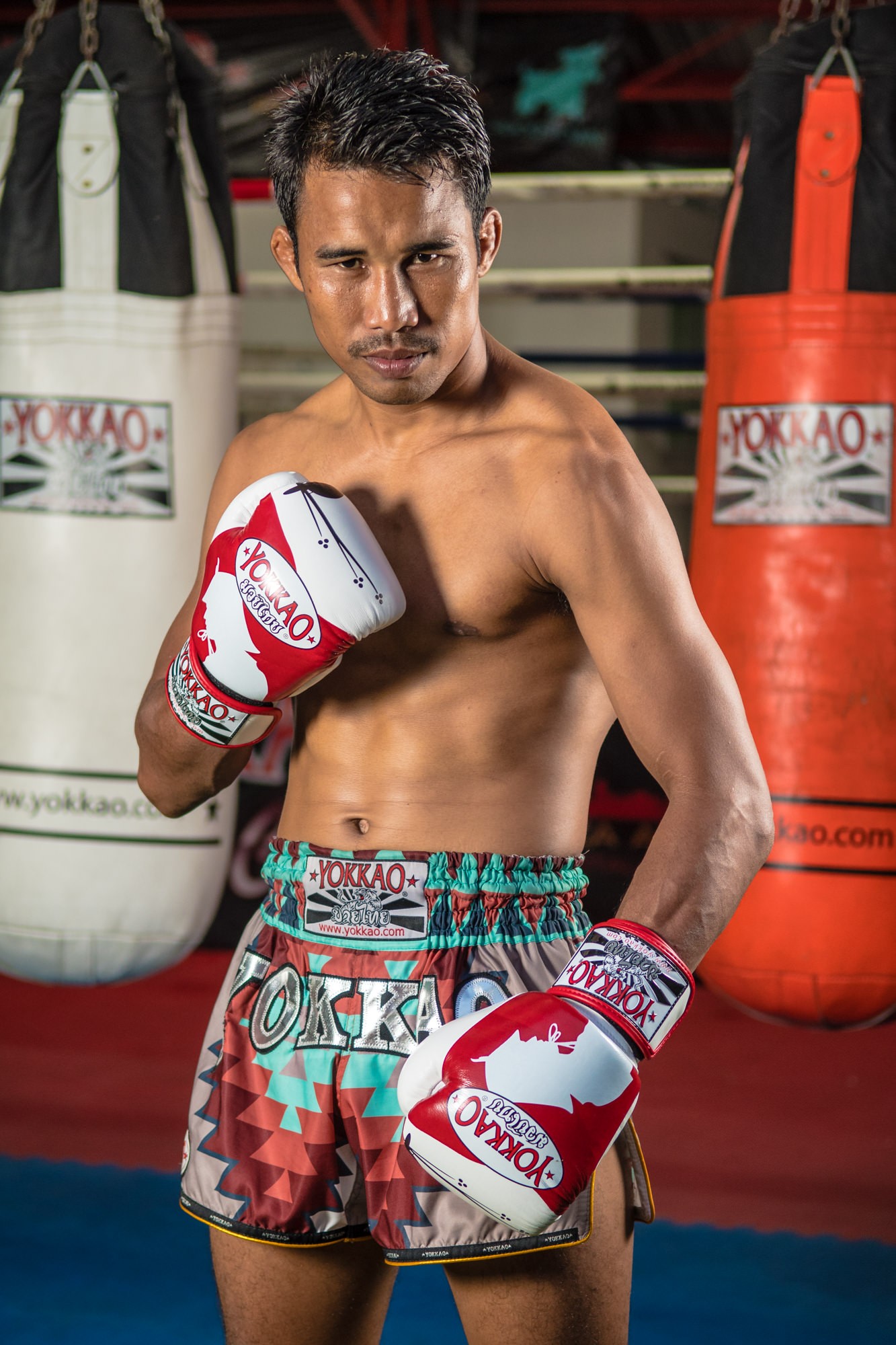 Boxing Gloves | Muay Thai Gloves | Ronin