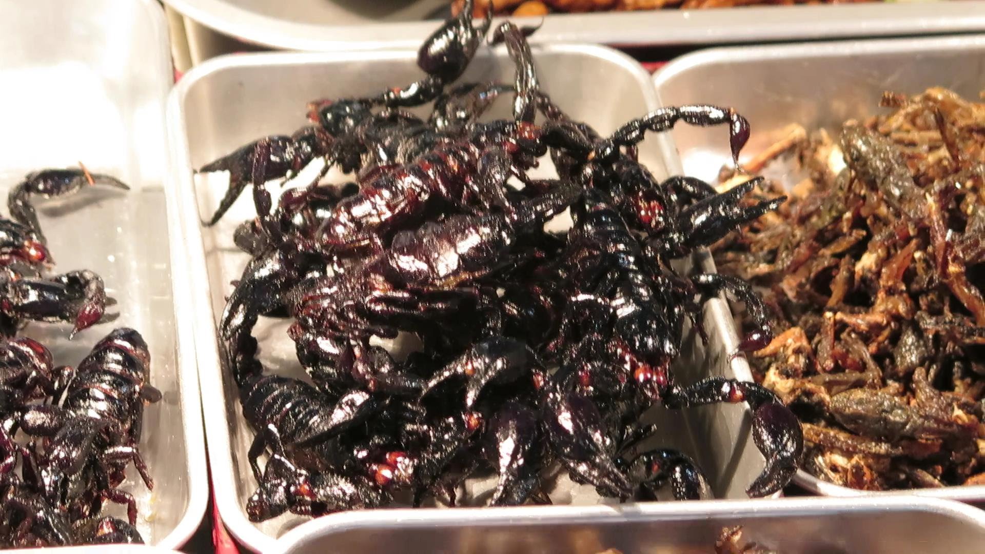 Eating Scorpions and Cockroaches. Bangkok Street Food, Thailand ...