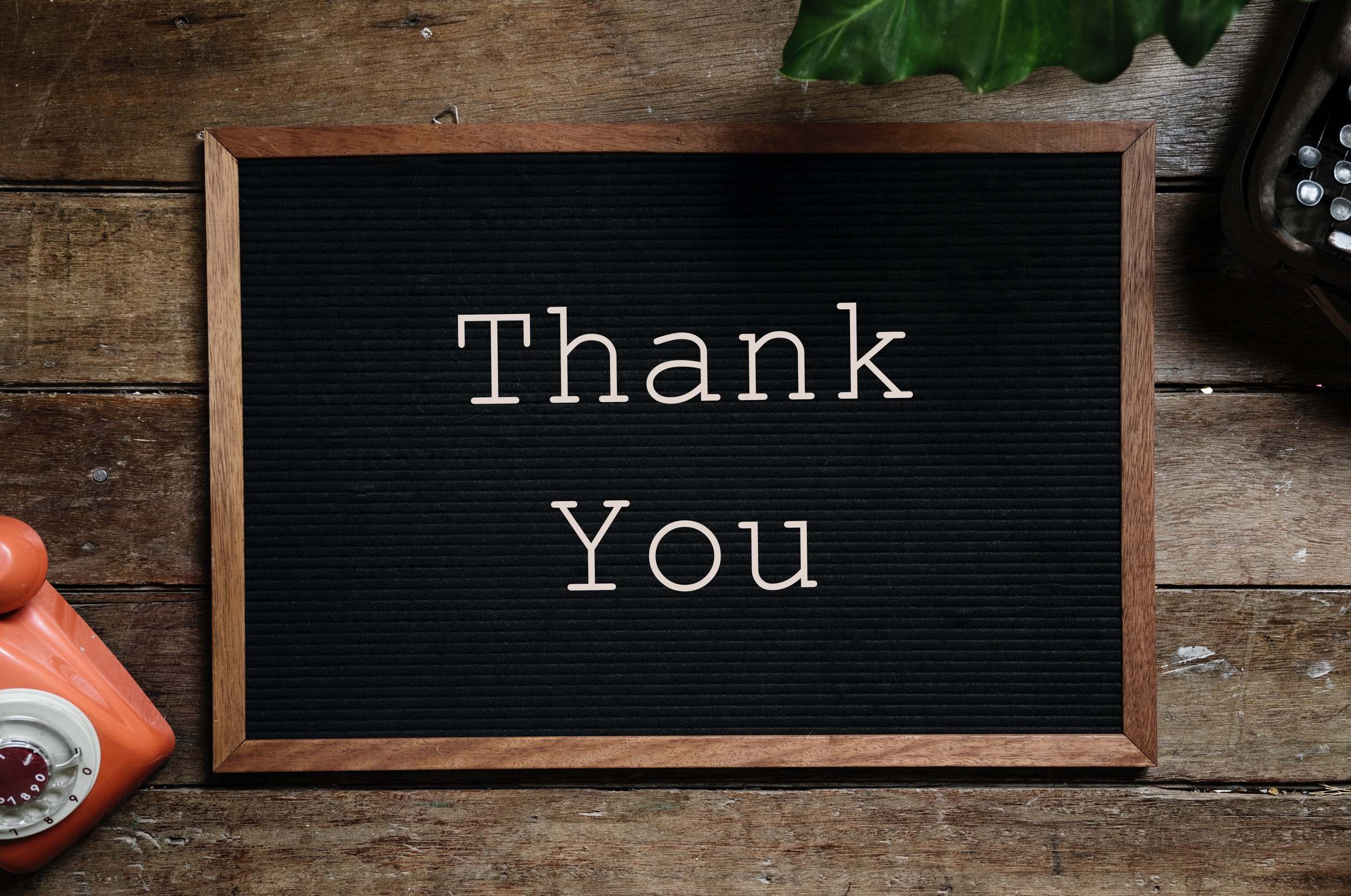 Thank You Text on Black and Brown Board, Blackboard, Board, Close -up, Display, HQ Photo