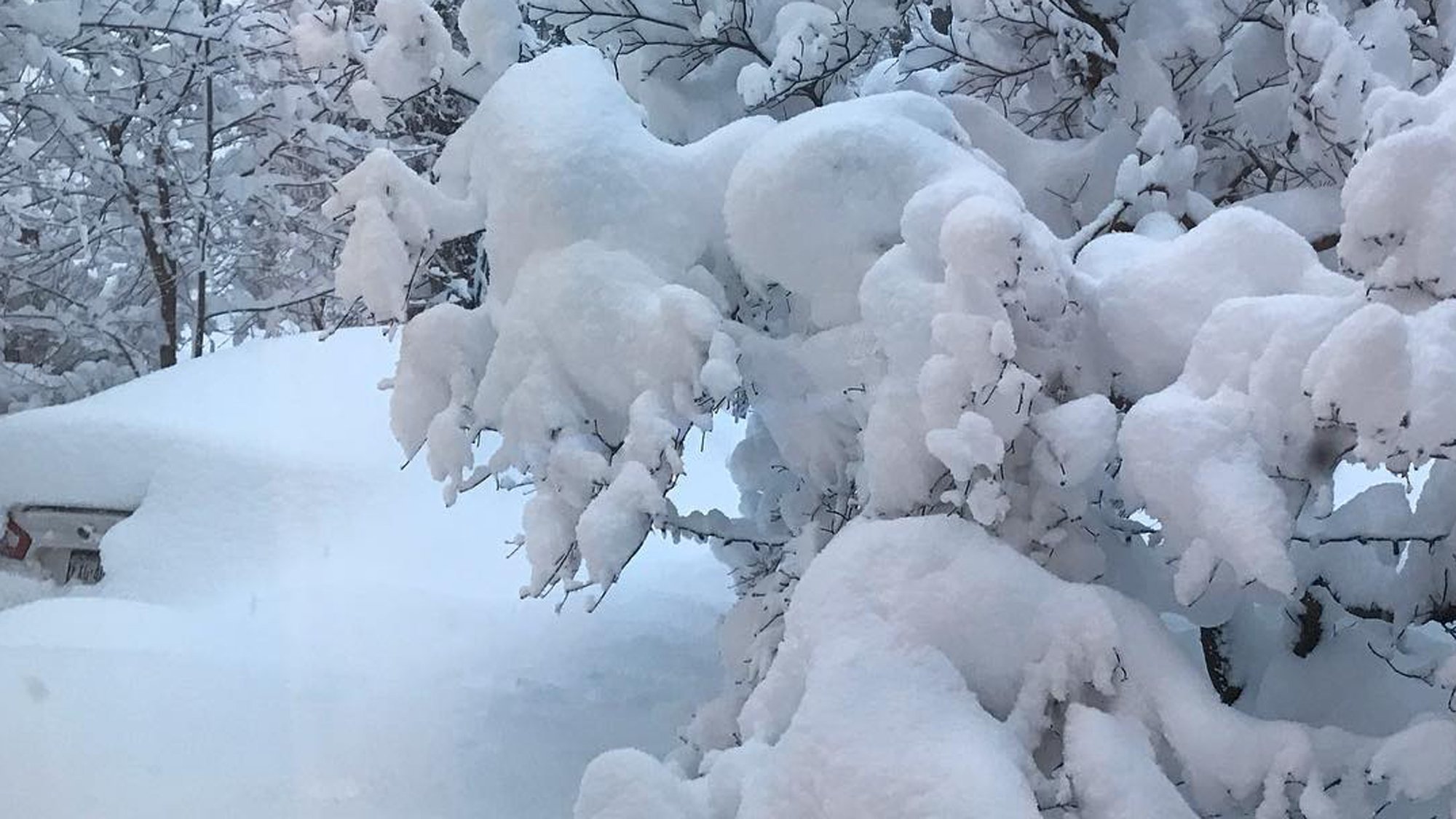 Even for a place that gets a ton of snow, this was a record-breaking ...