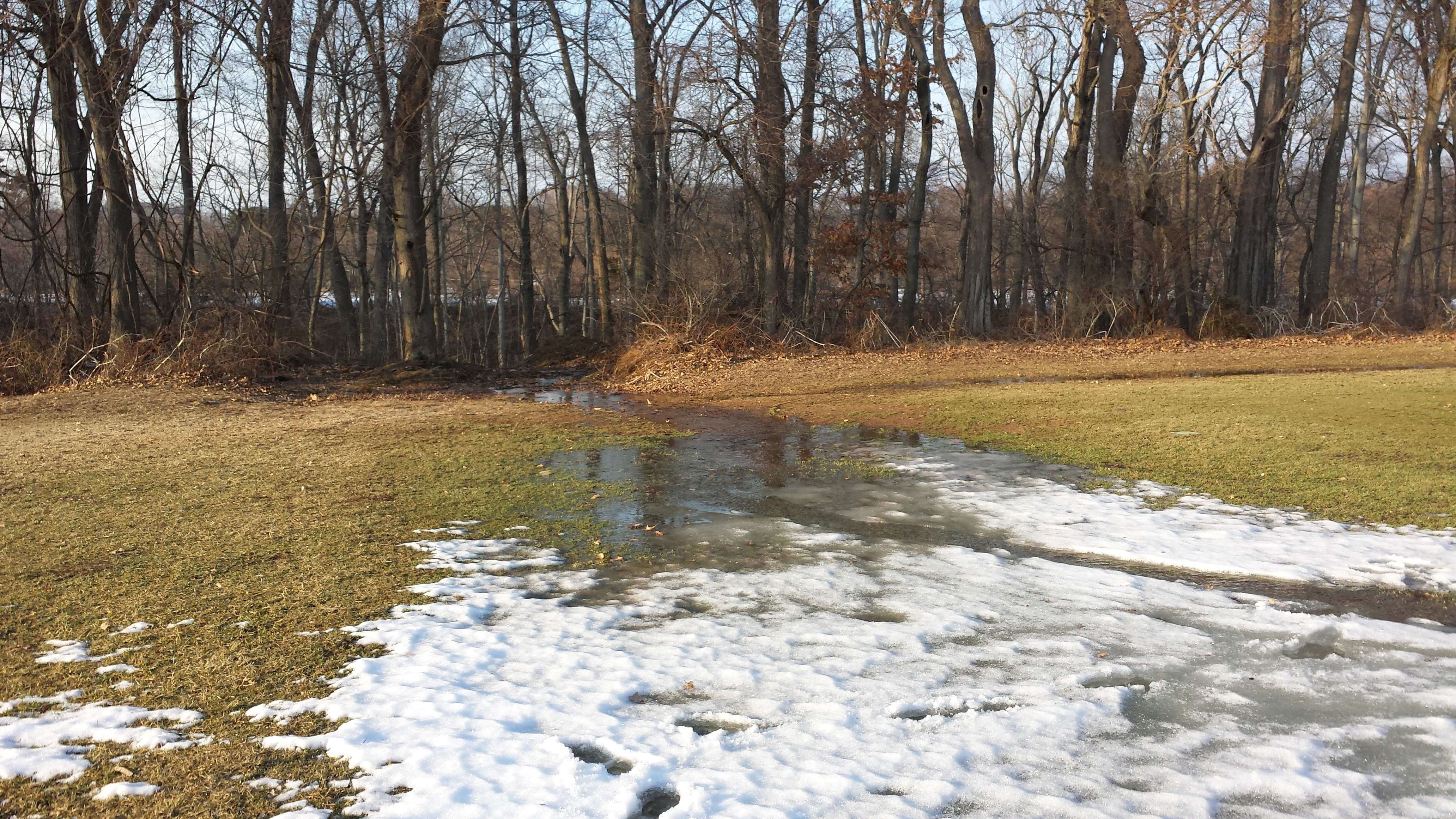 Winter Thaw about to Begin — Plant & Pest Advisory