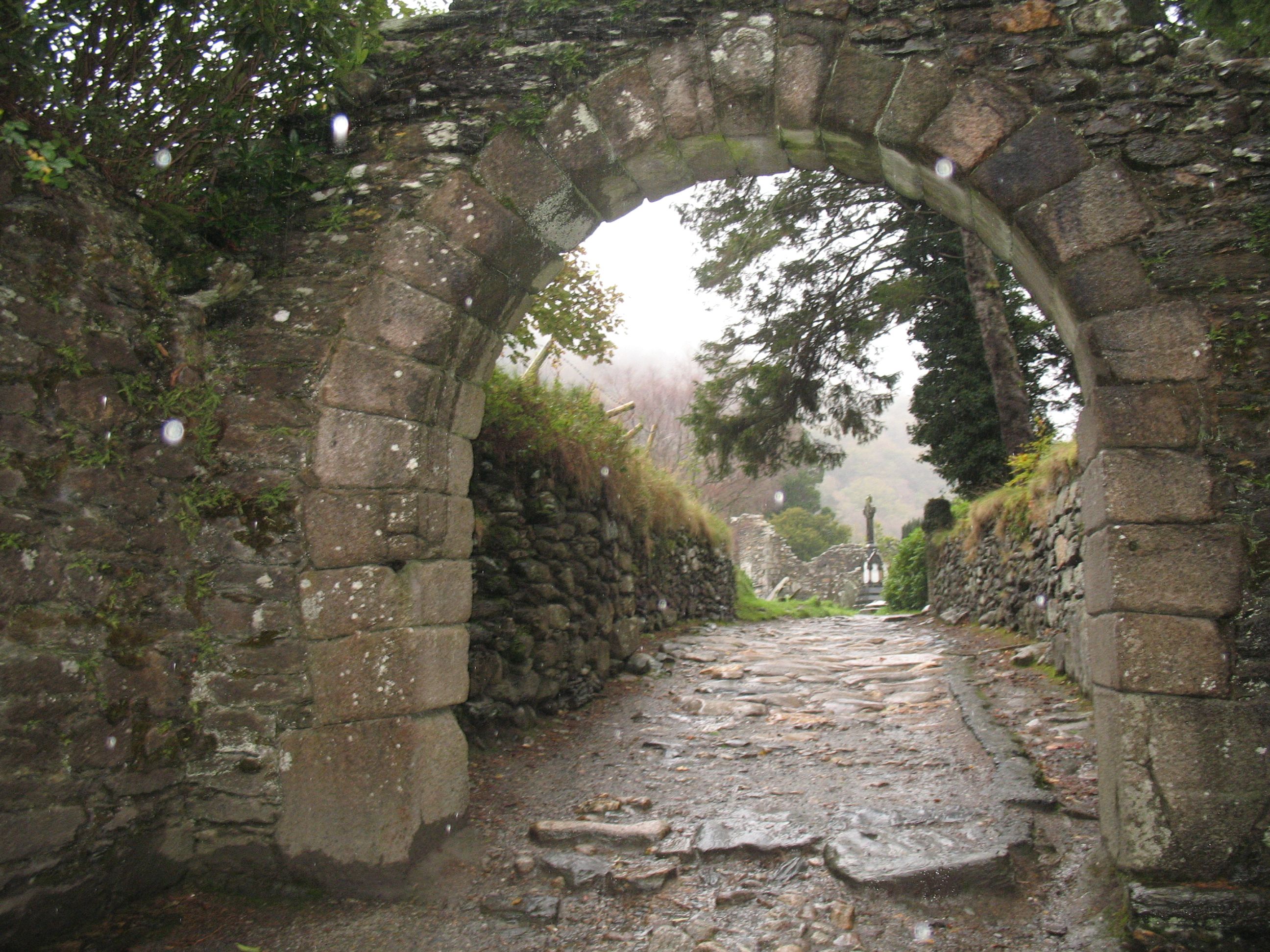 arch way | Castle Archway in Ireland | NATURE | Pinterest | Ireland ...