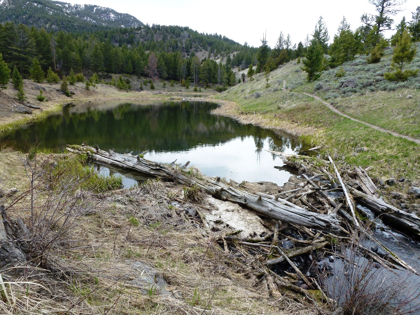Brian and Ashley's Hiking Blog!: Beaver Ponds Trail (Yellowstone ...
