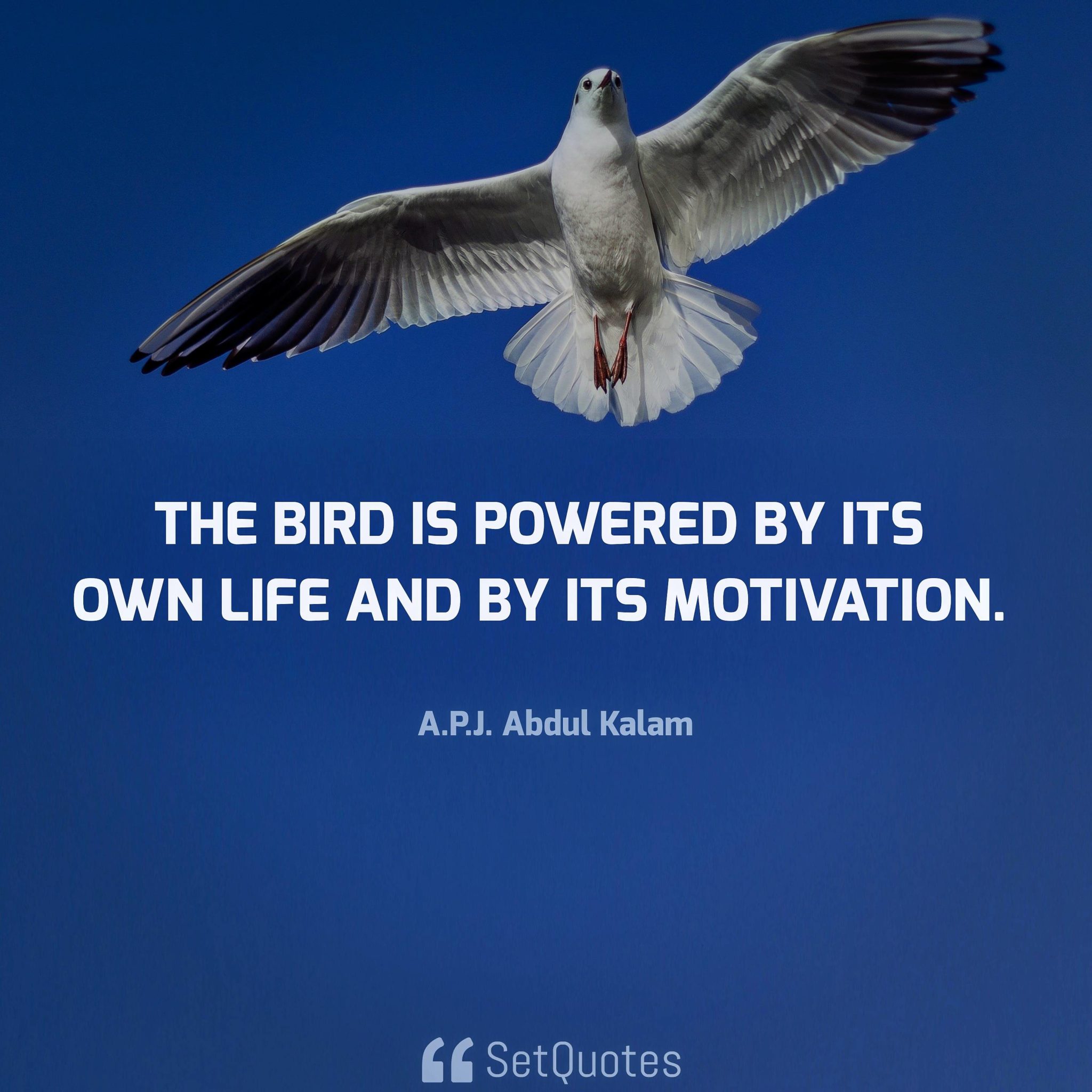 The bird is powered by its own life and by its motivation. APJ Abdul ...