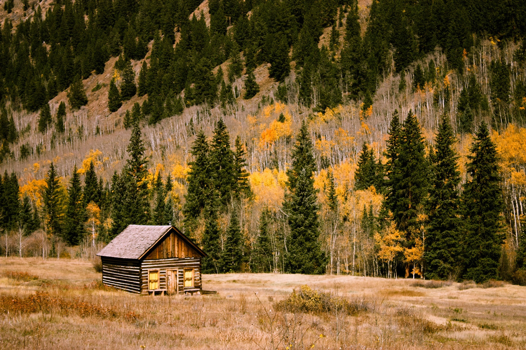 The cabin photo
