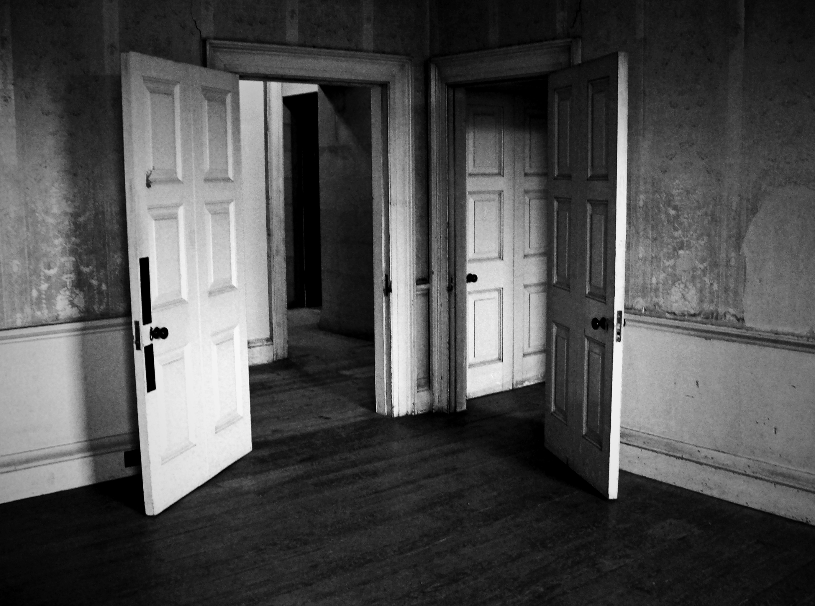 I Hear My Ghost Banging On The Door (2008) | darkling eye